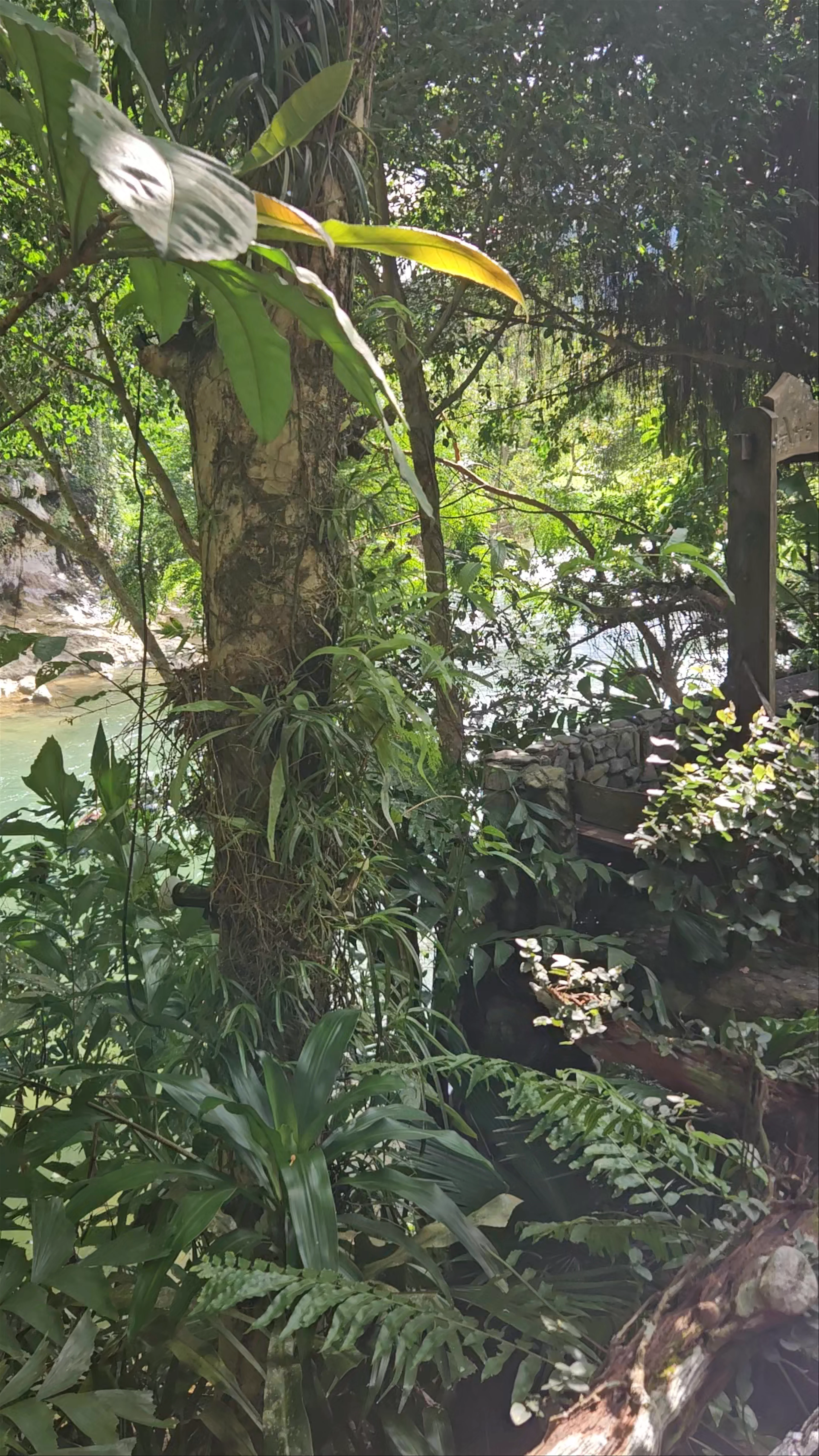 Art's Riverview Lodge