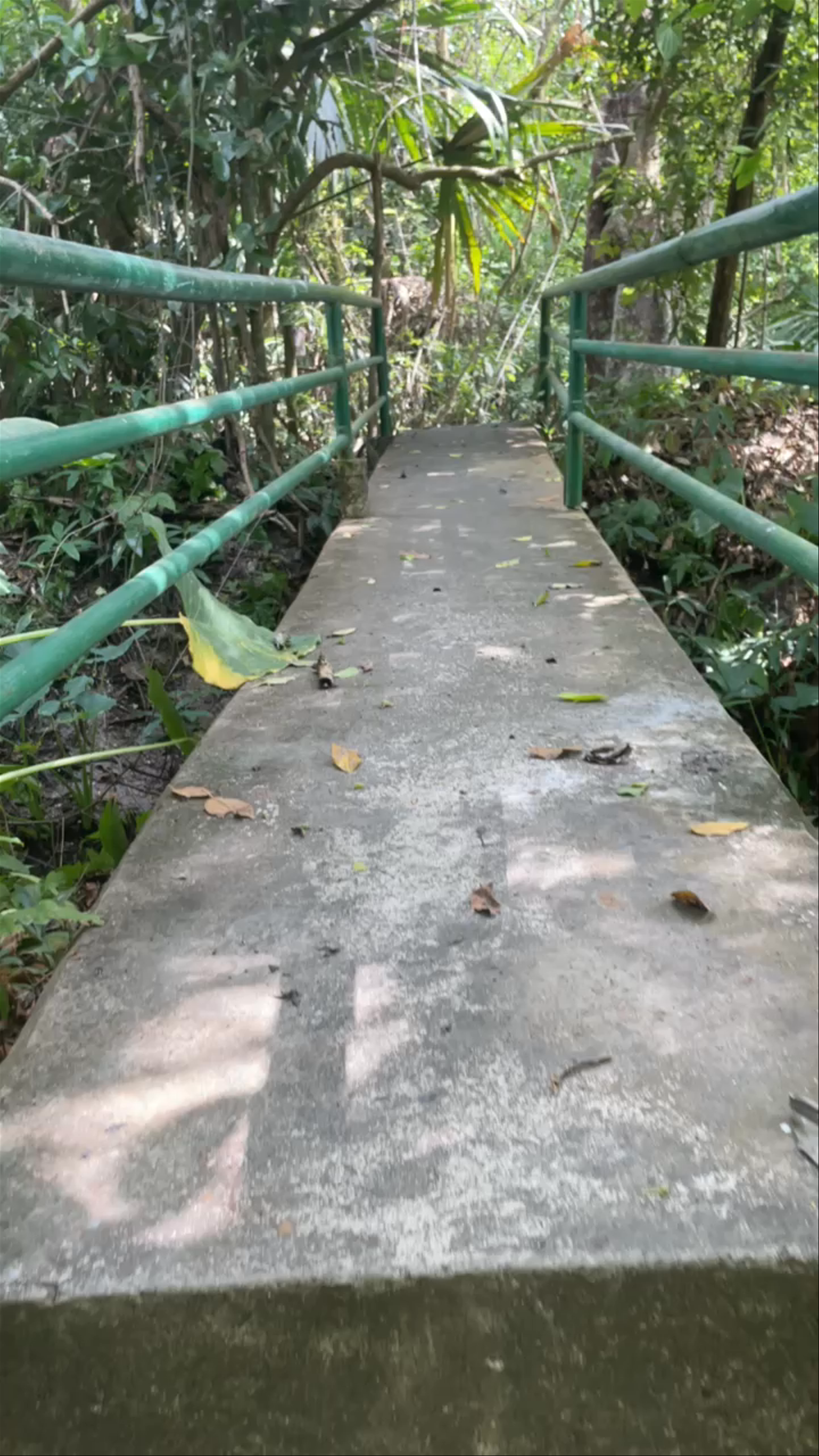 Cartagena Botanical Garden Guillermo Piñeres