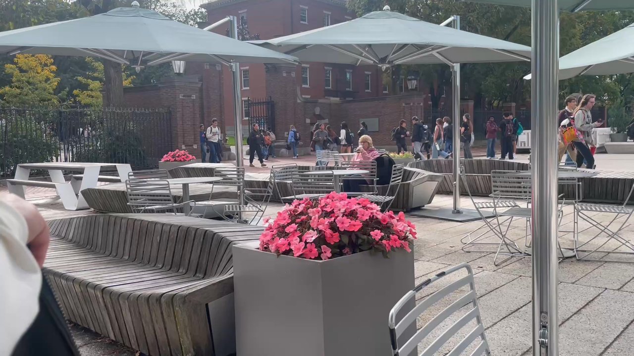 Harvard Square - Action in the square. - Landmarks & Historical Buildings Near Me - Cambridge, Massachusetts