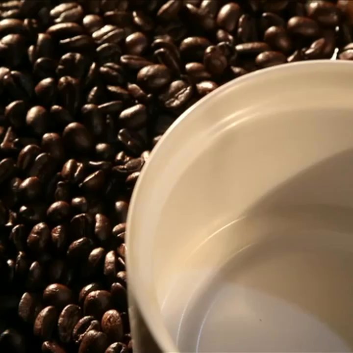 Cattle Dog Coffee Roasters - Taste the flavor - Sandwiches Near Me - Hernando, Florida