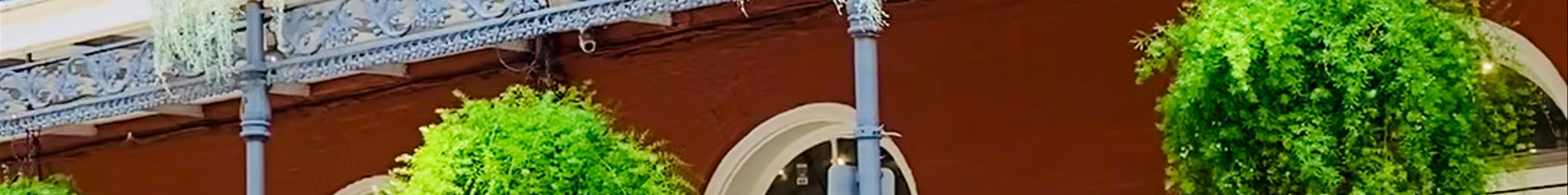 Tours & experiences in New Orleans