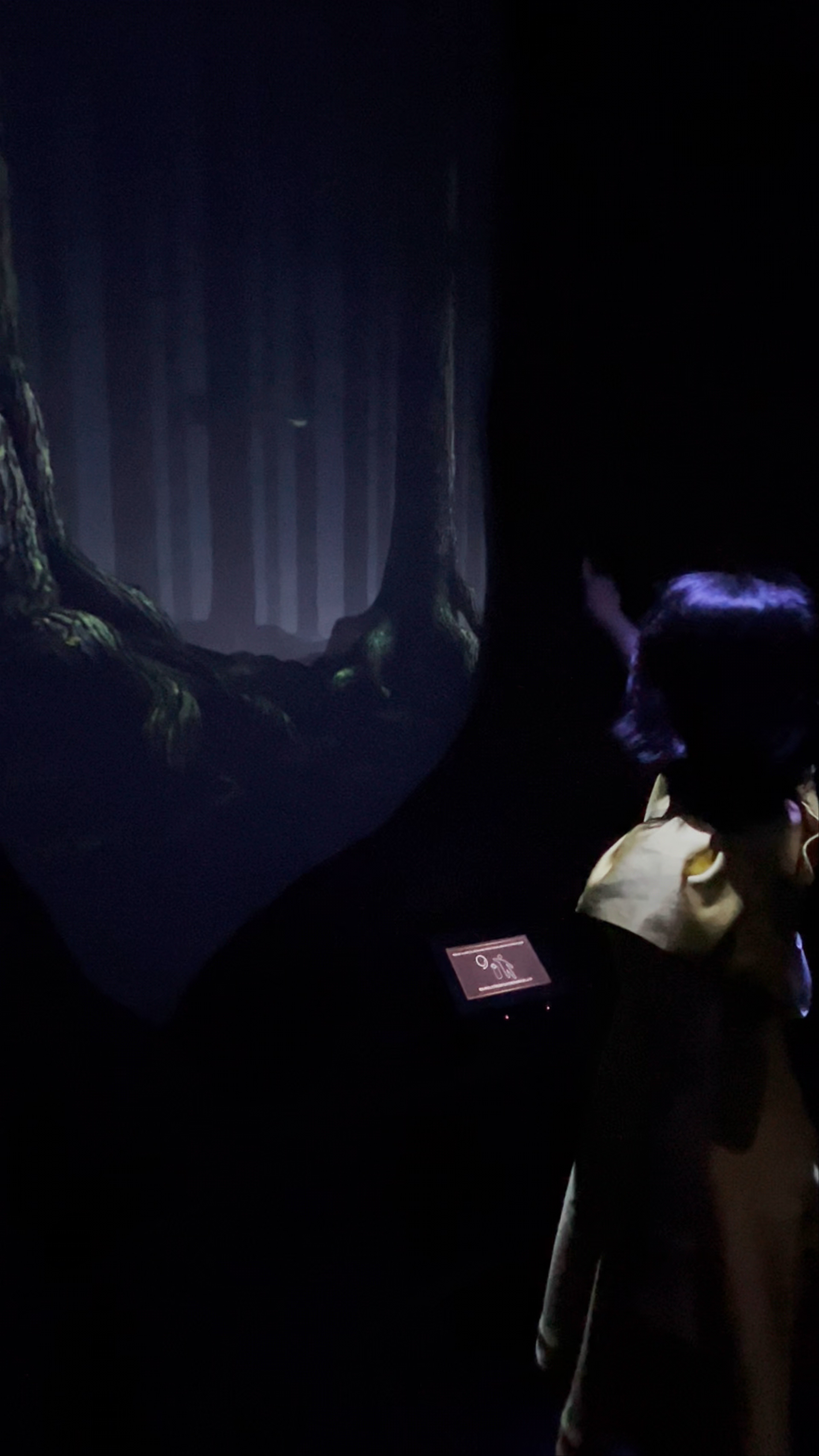 The Making of Harry Potter Experience in Nerima City, Tokyo