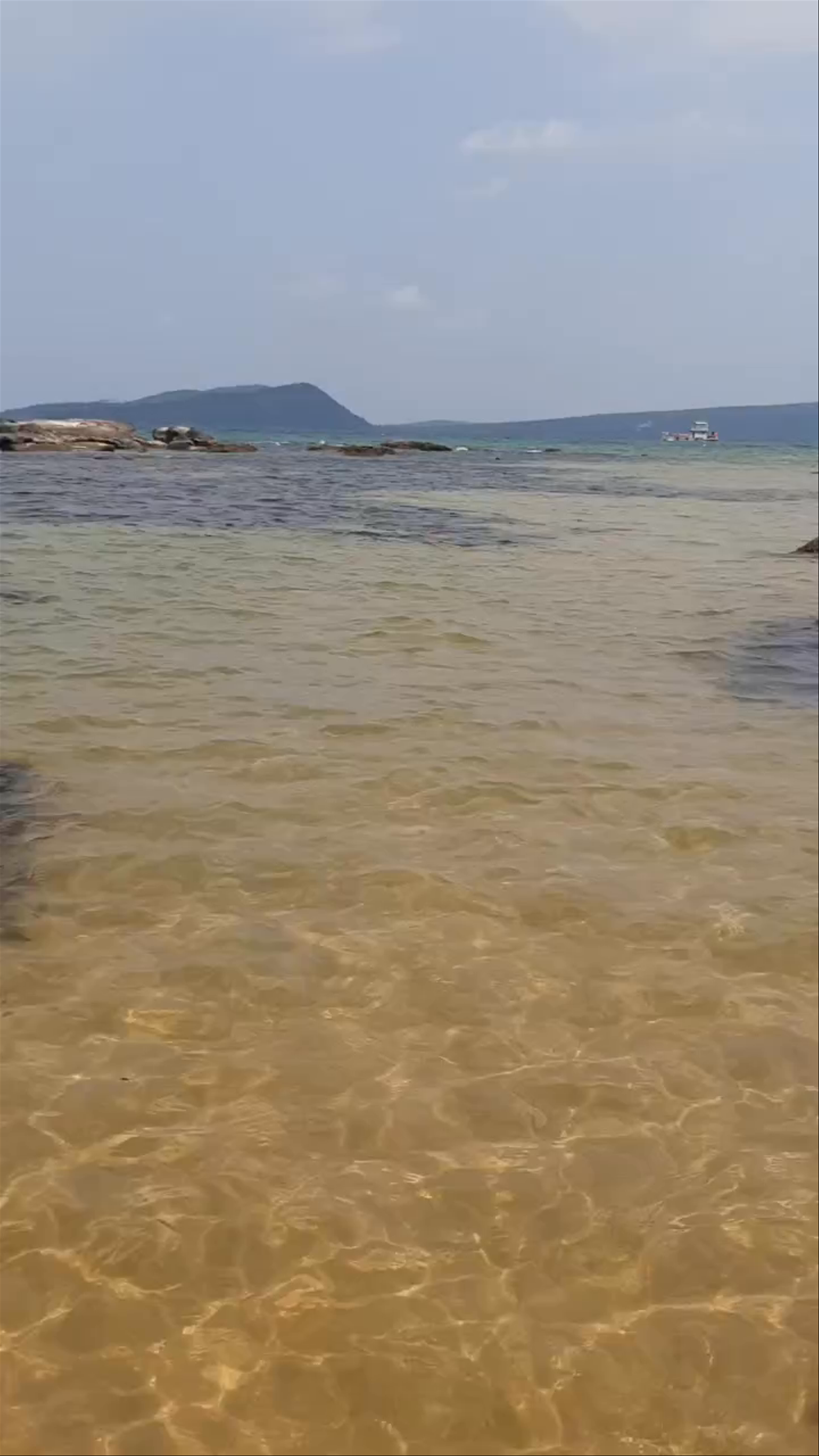 Tree House Bungalows