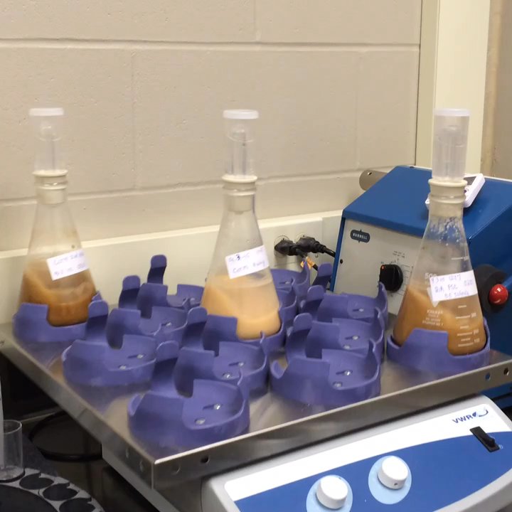 Third Street Brewhouse - Behind the scenes where the brewery checks fermentation quality. - Breweries Near Me - Cold Spring, Minnesota
