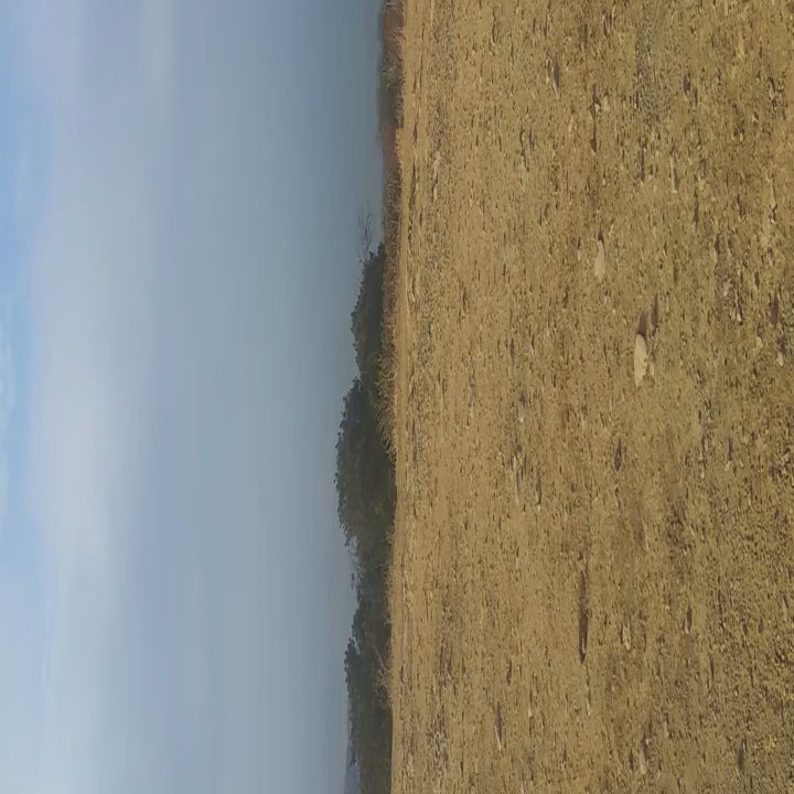 Video thumbnail 3 more videos