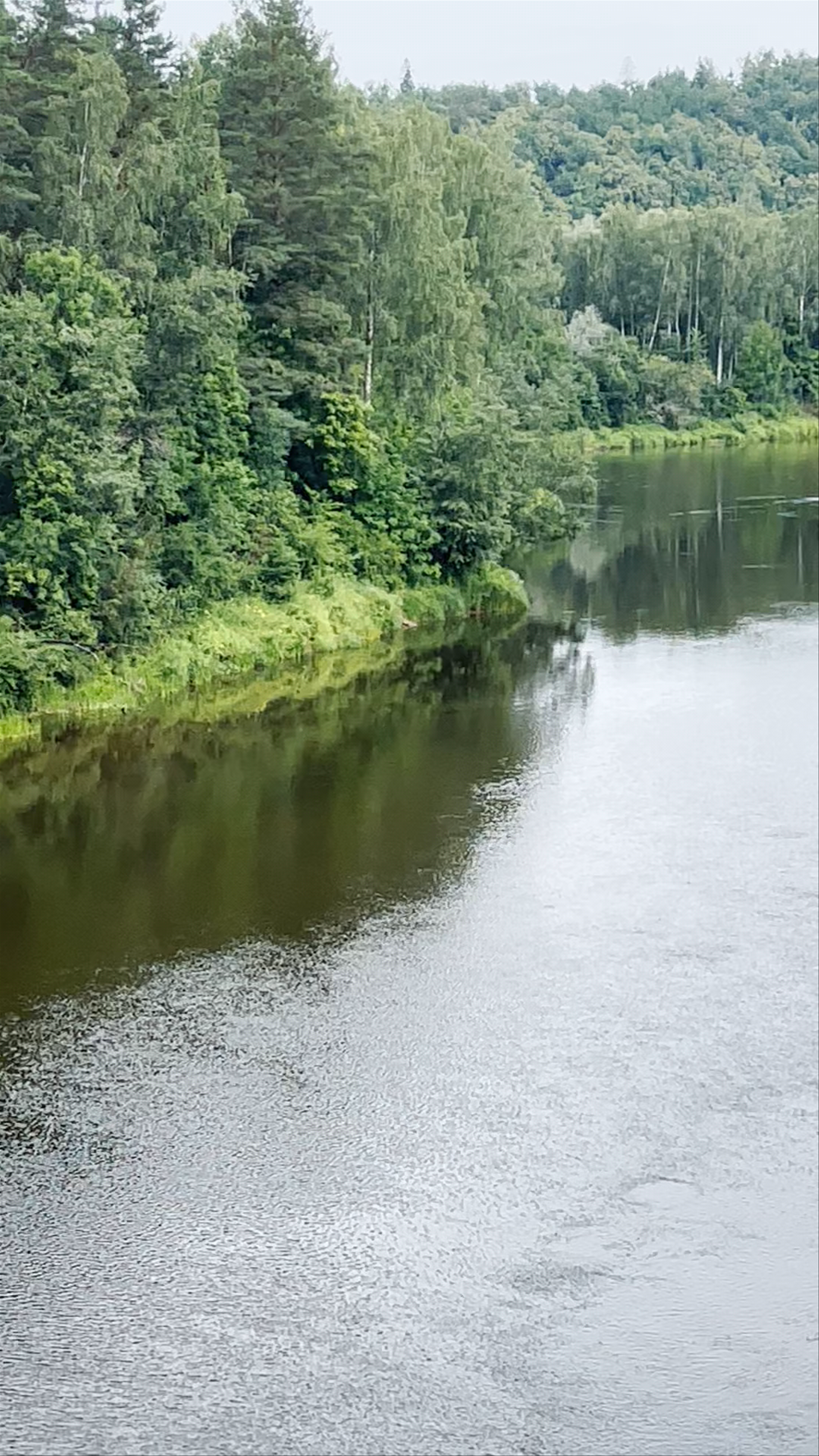 Gauja River Steep Banks: Serene Nature Escape Near Valmiera, Latvia