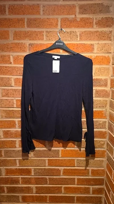 H&M Sleeved Sheer Black Mesh Top