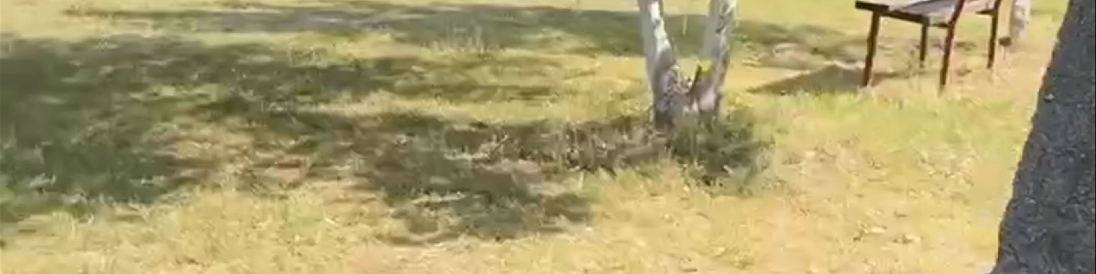 Άγιος Νικόλαος