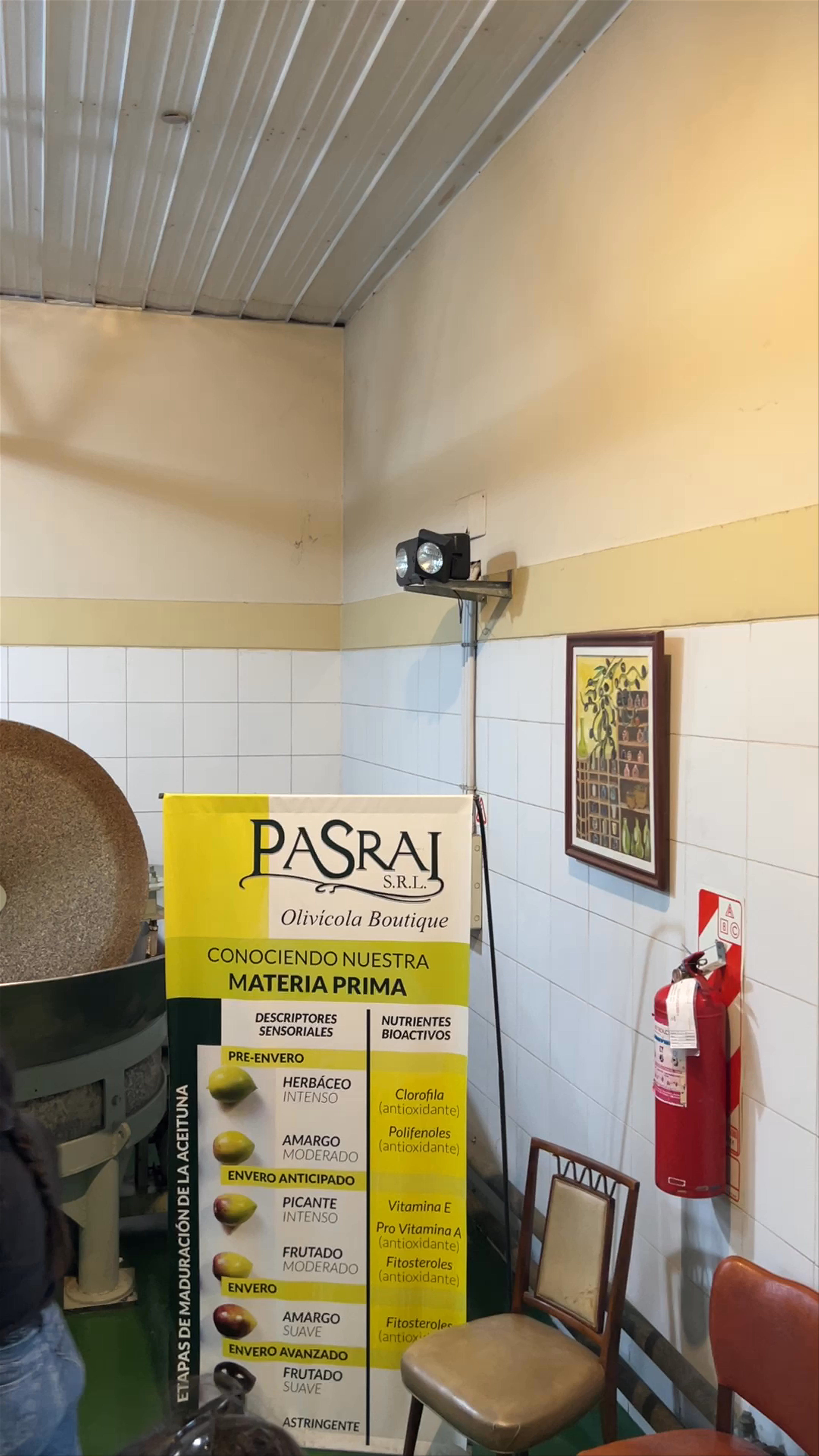 Inside Pasrai Olivicola Boutique: The Olive Oil Craftsmanship of Mendoza, Argentina