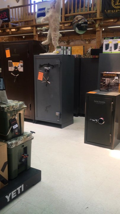 Carter's Country - Just a quick view of some items near checkout - Guns & Ammo Near Me - Houston, Texas