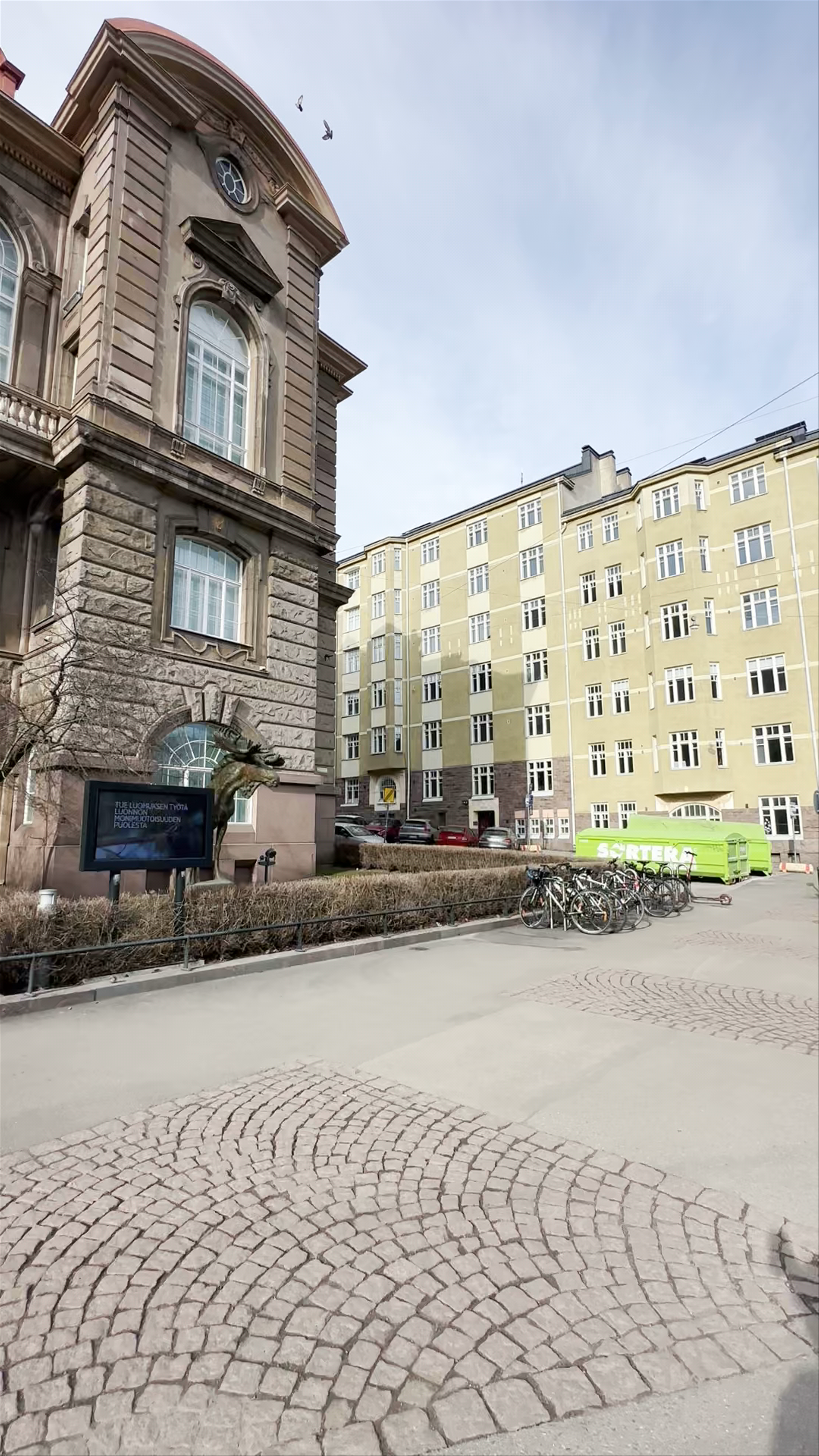 Natural History Museum Helsinki: A Journey Through Nature and Time