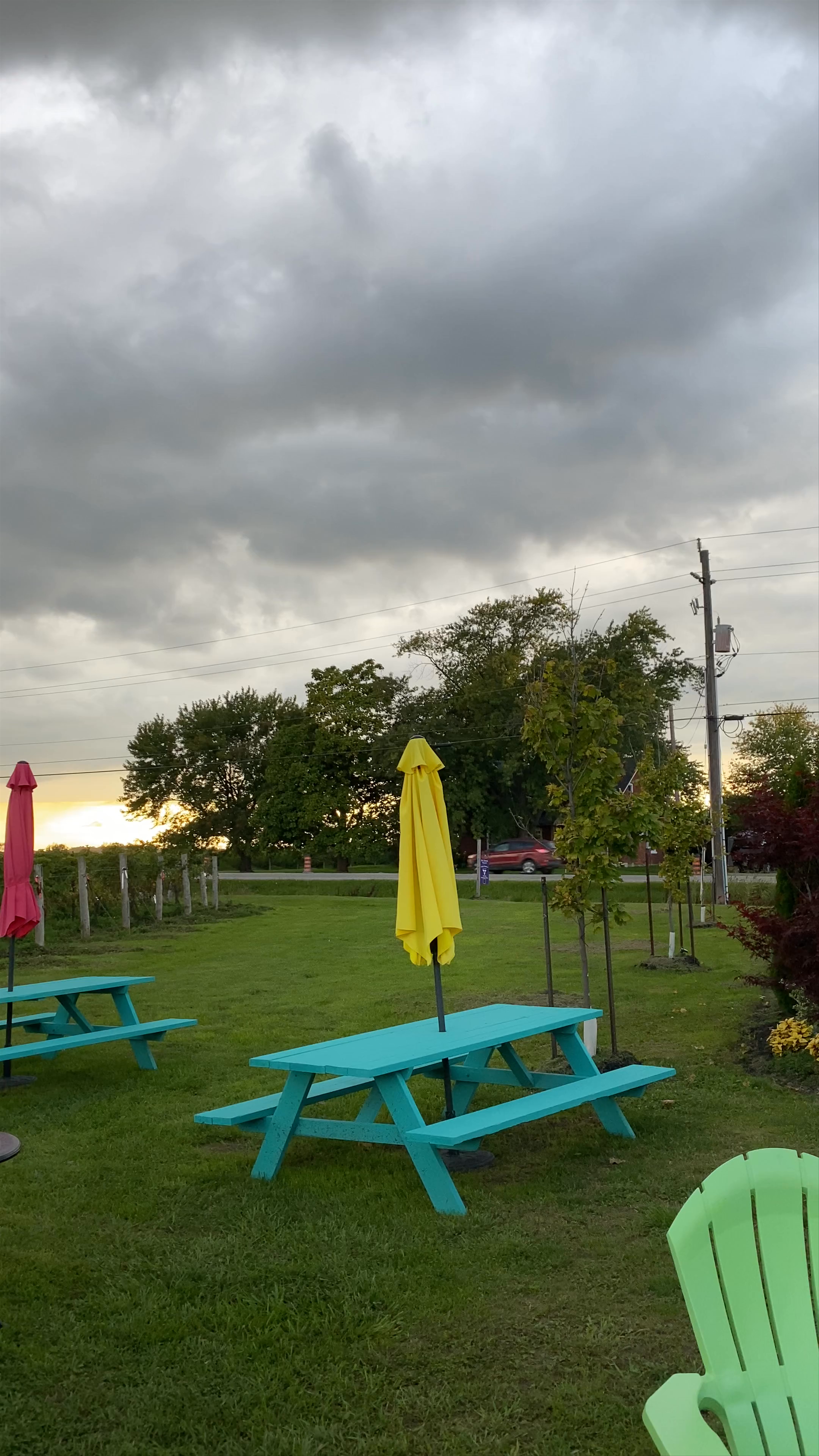 De Simone Vineyards: Rustic Wine Experience at Niagara-on-the-Lake