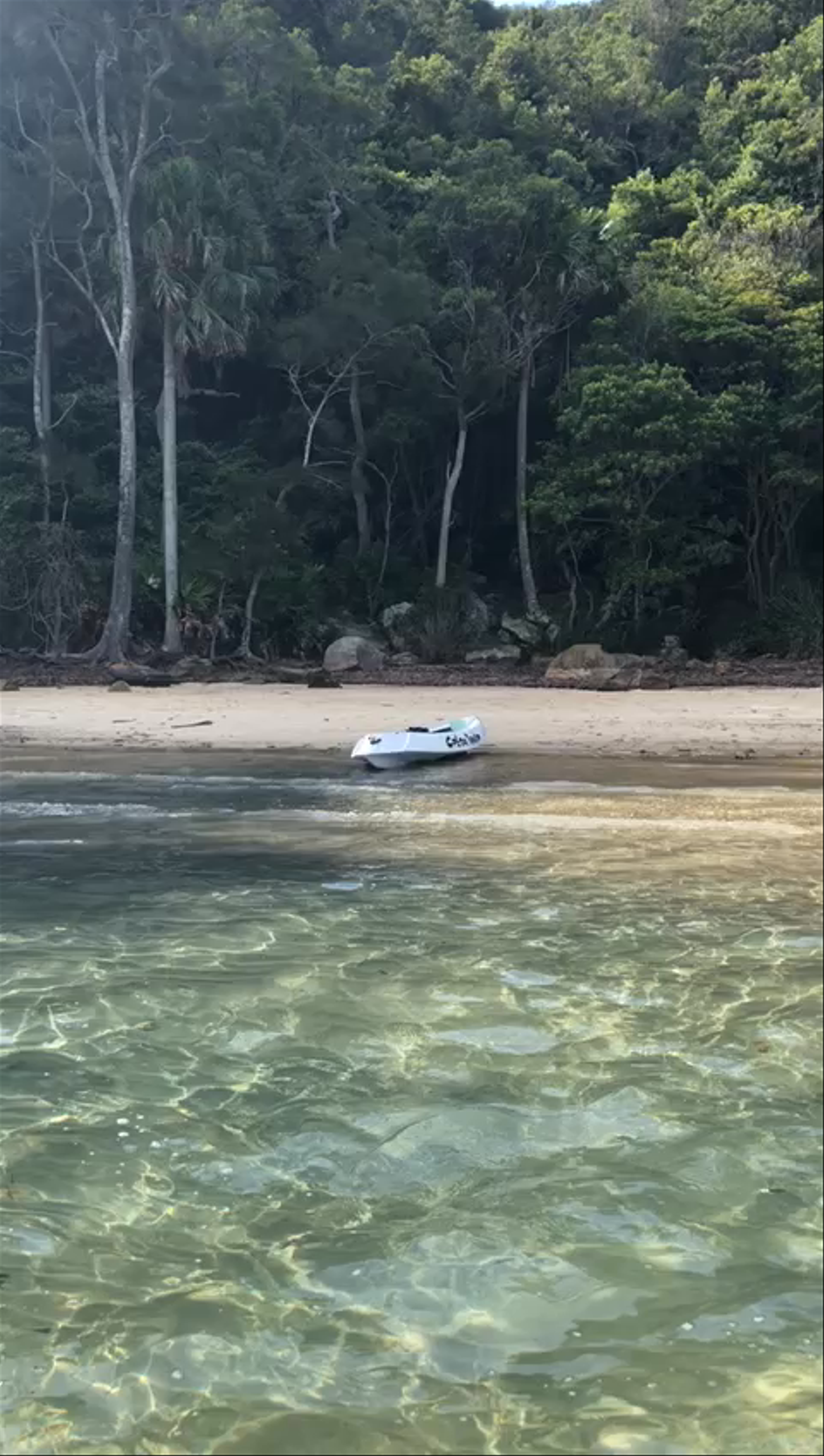 Serene Morning Bay Escape in New South Wales, Australia