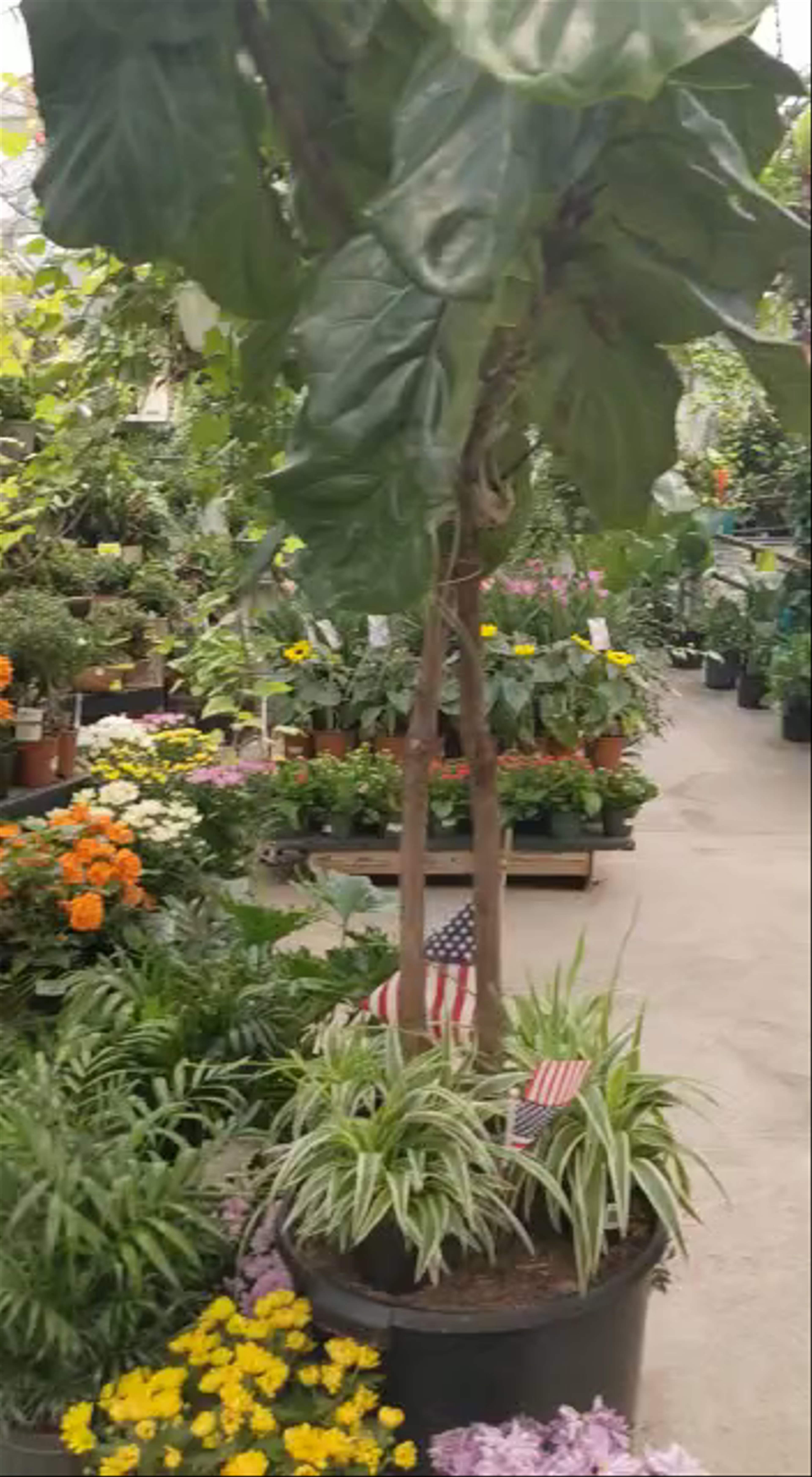 Adams Fairacre Farms