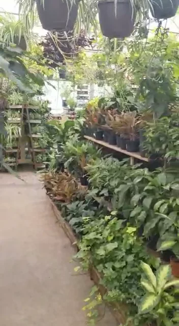 Adams Fairacre Farms