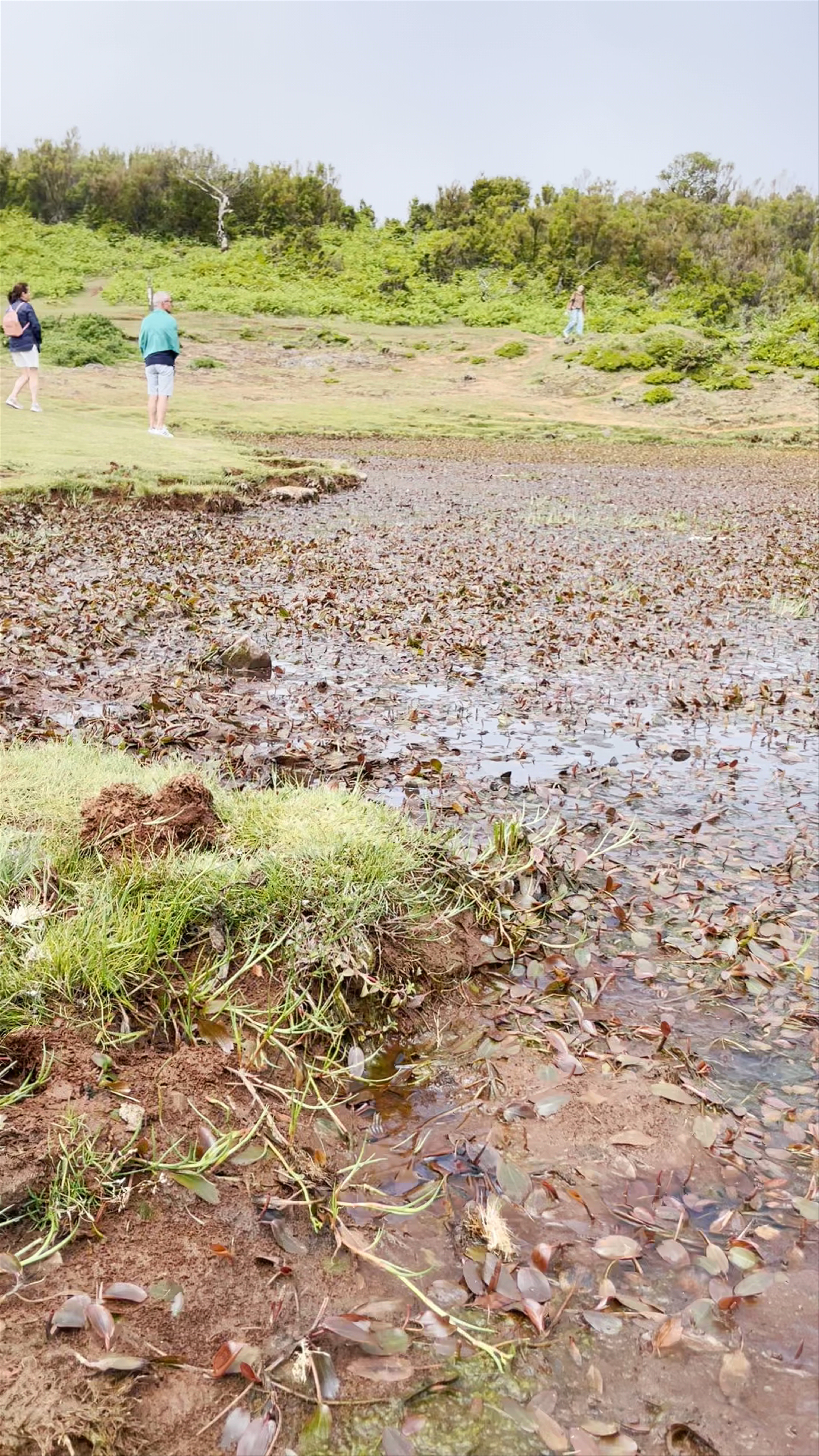 Lagoa de Fanal