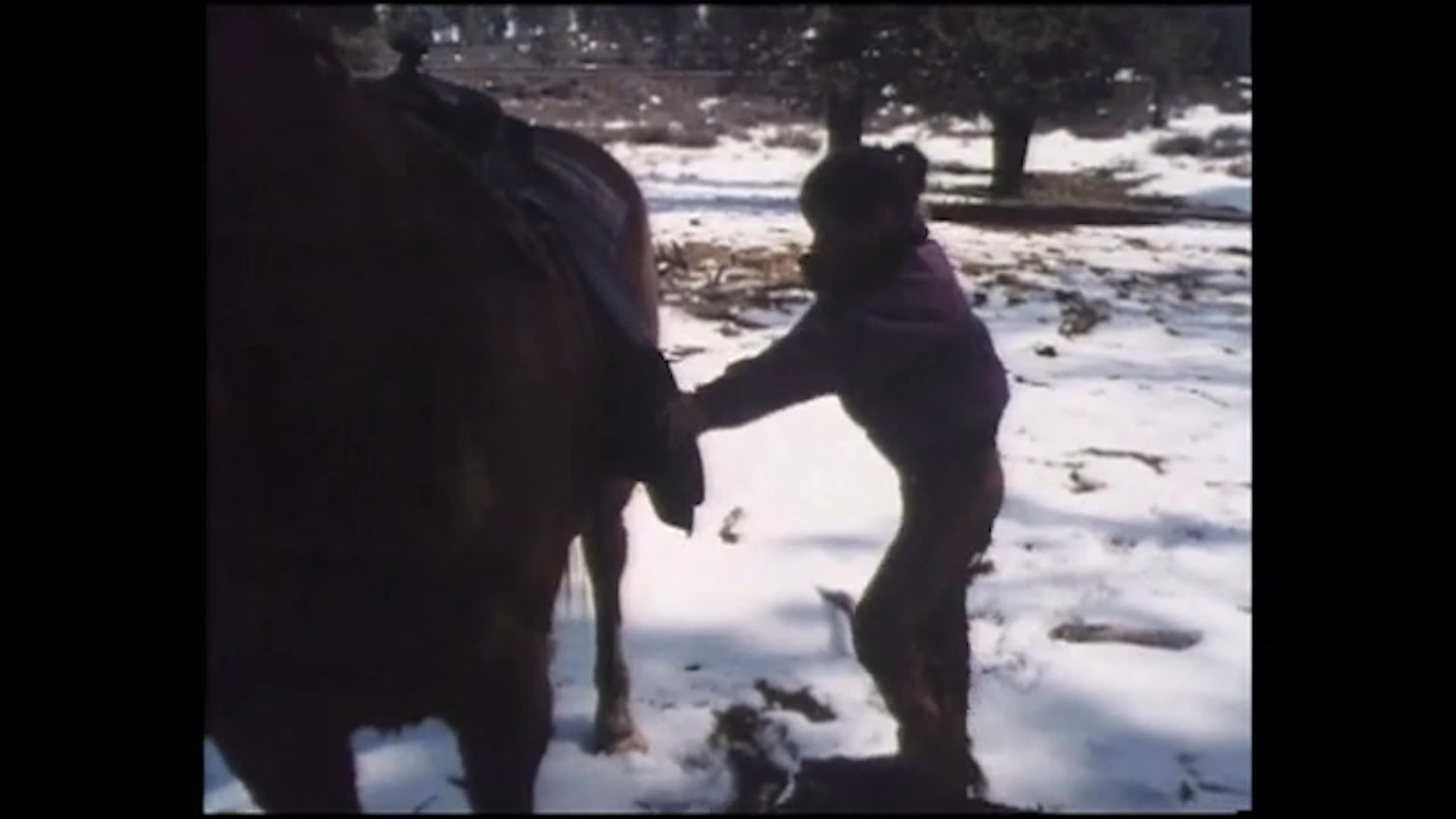 A person in a purple jacket works beside a dark horse in a snowy pasture, reaching around its side and legs as they shift position. The speaker mentions making mistakes and wanting to do what Cricket does.