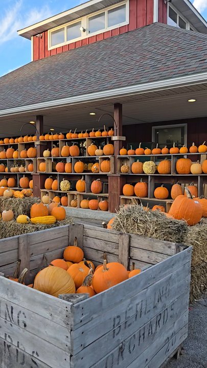 Gade Farm - Fruits & Veggies Near Me - Guilderland, New York