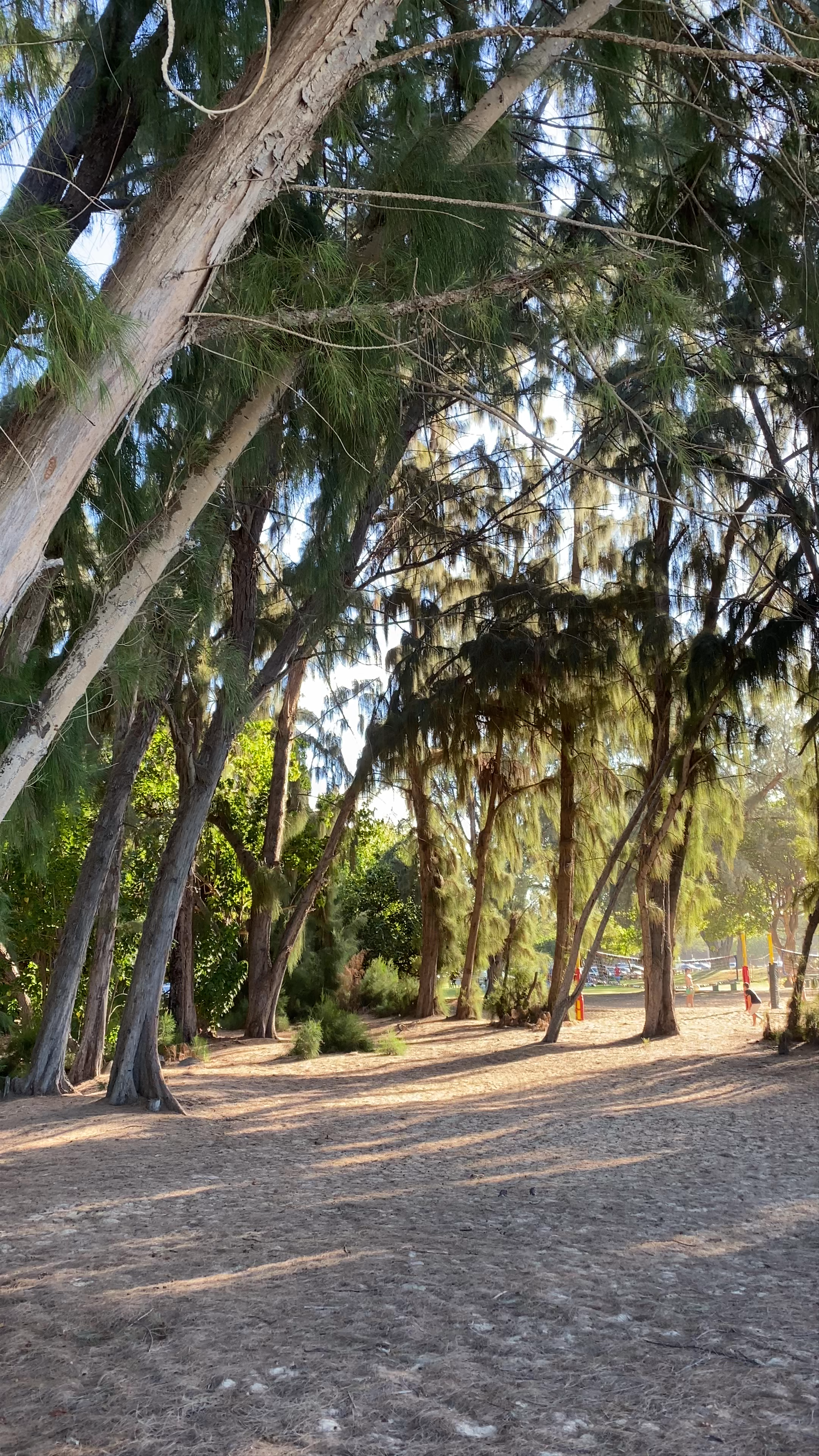 Kanaha Beach Park: Tranquil Coastal Escape in Kahului, Hawaii