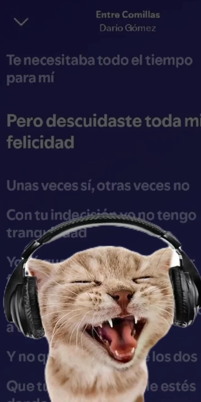 Contenido del creador