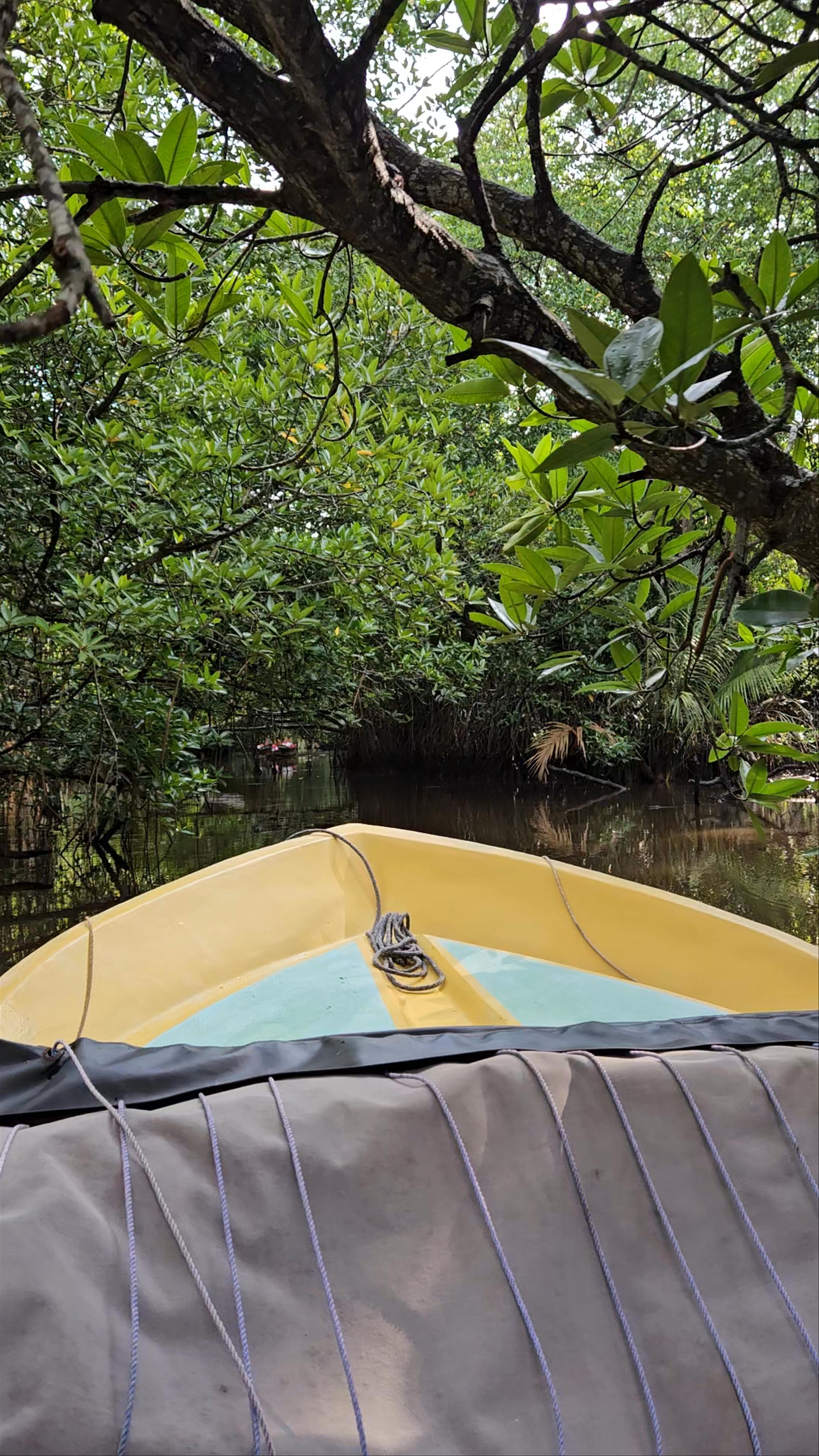 Bentota River Safari & Deep Sea Fishing by VTS Lanka