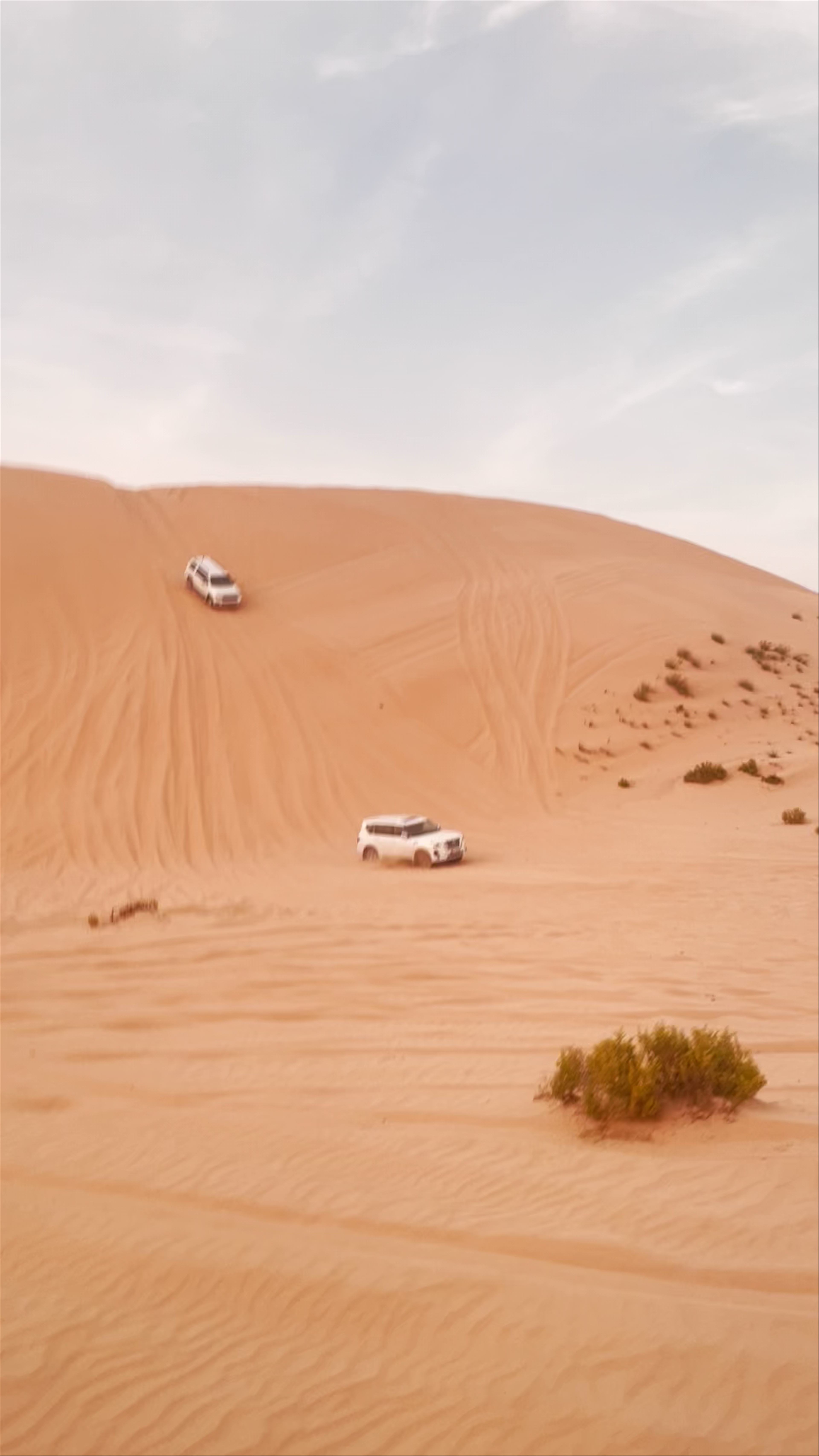 Bida Al Mutawa's Clinic - Abu Dhabi - United Arab Emirates