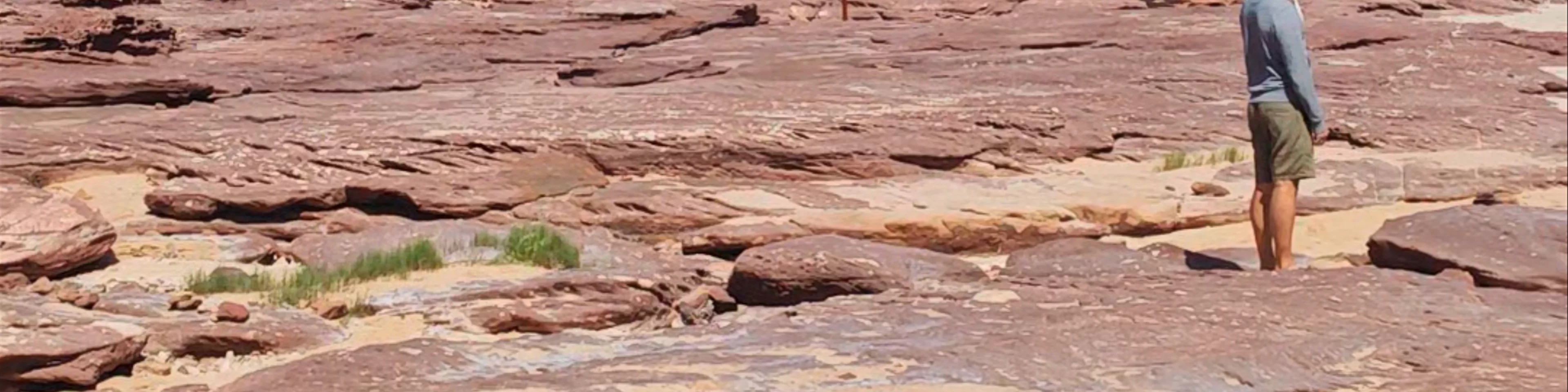 Mushroom Rock