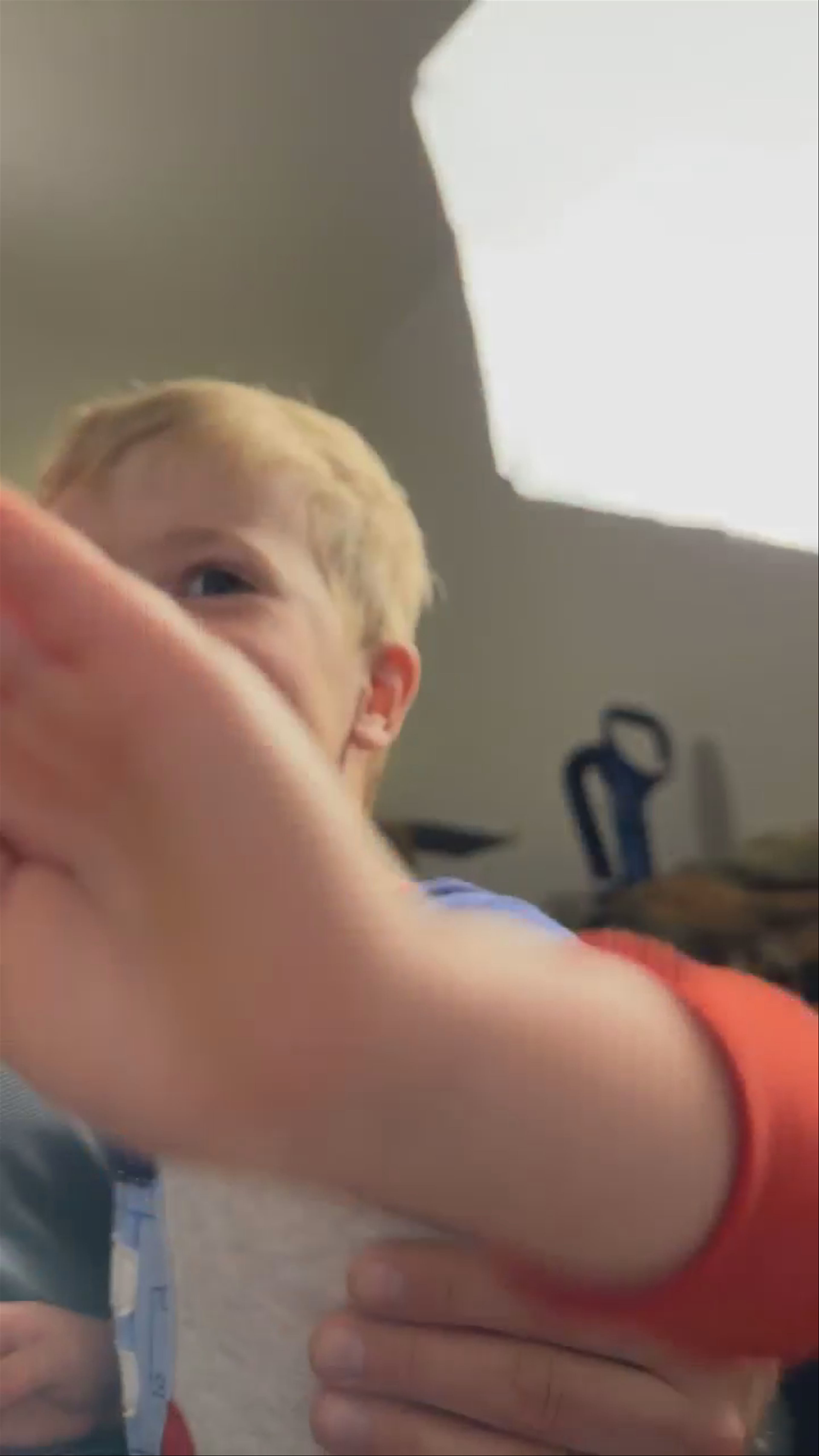 Came in on the cutest thing on whatnot