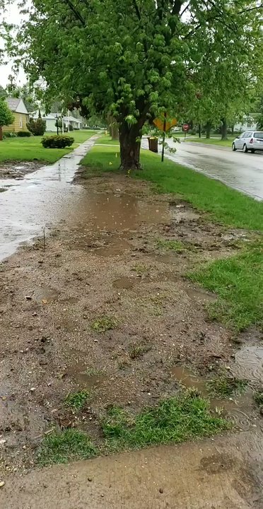 Roto-Rooter Plumbing, Drain, & Water Damage Cleanup Service - Do not use this company! They were scheduled to replace a low spot in a pipe instead they destroyed our yard & refuse to fix ! - Plumbing Near Me - Rockford, Illinois