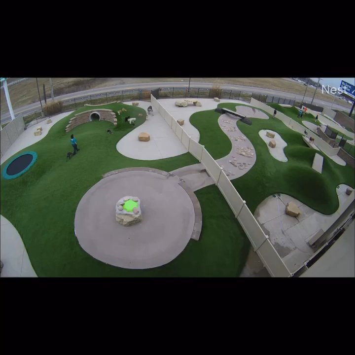 Petropolis - This view was from smaller dogs which the pup has been use to. St Charles location - Pet Sitting Near Me - Chesterfield, Missouri