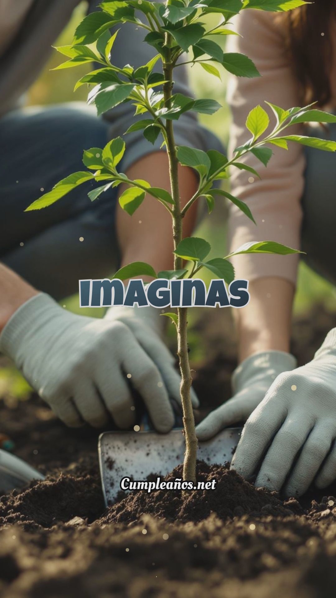 Plantar un árbol por cada cumpleaños: una tradición ecológica