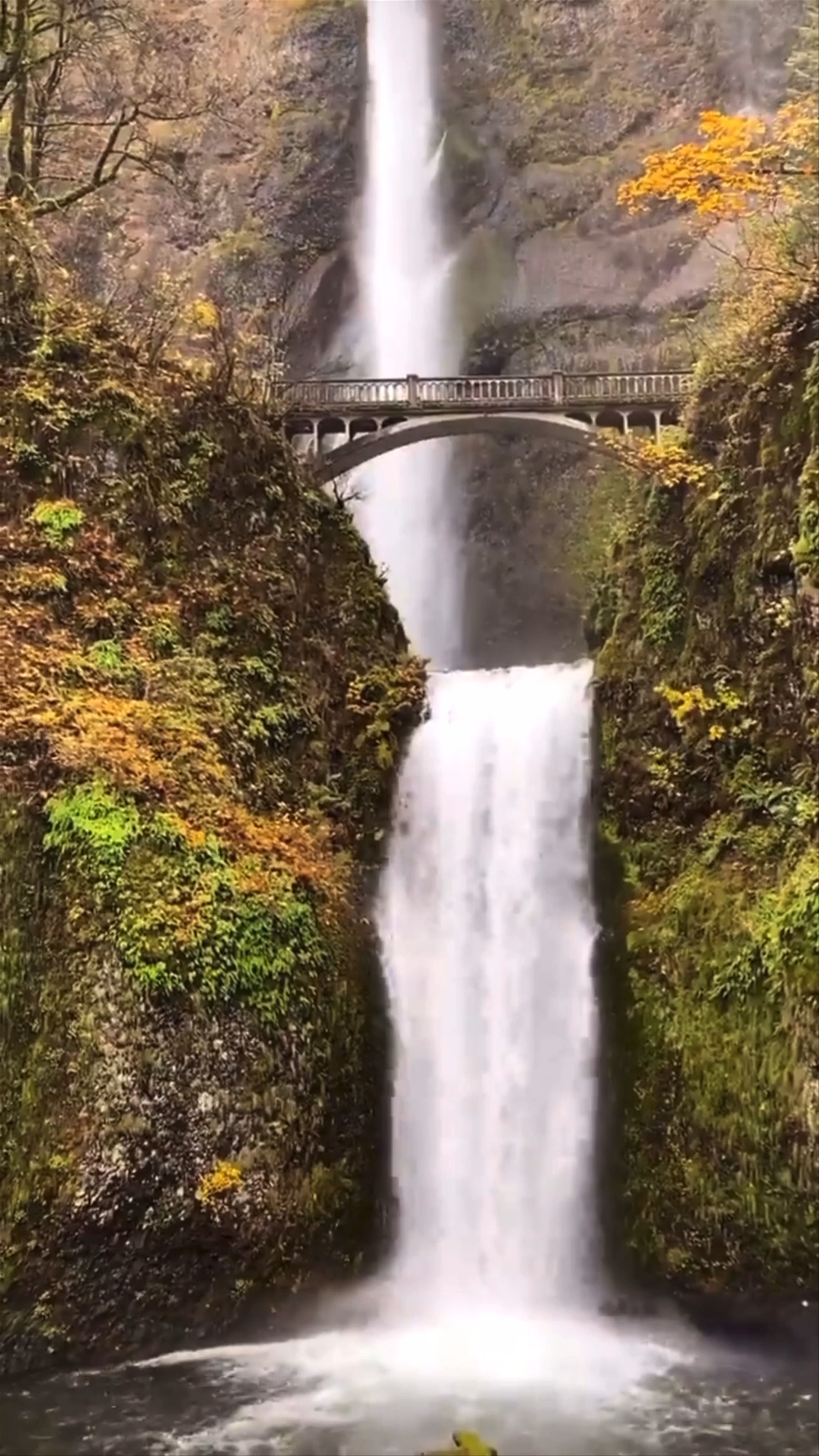 Cataratas de Multnomah