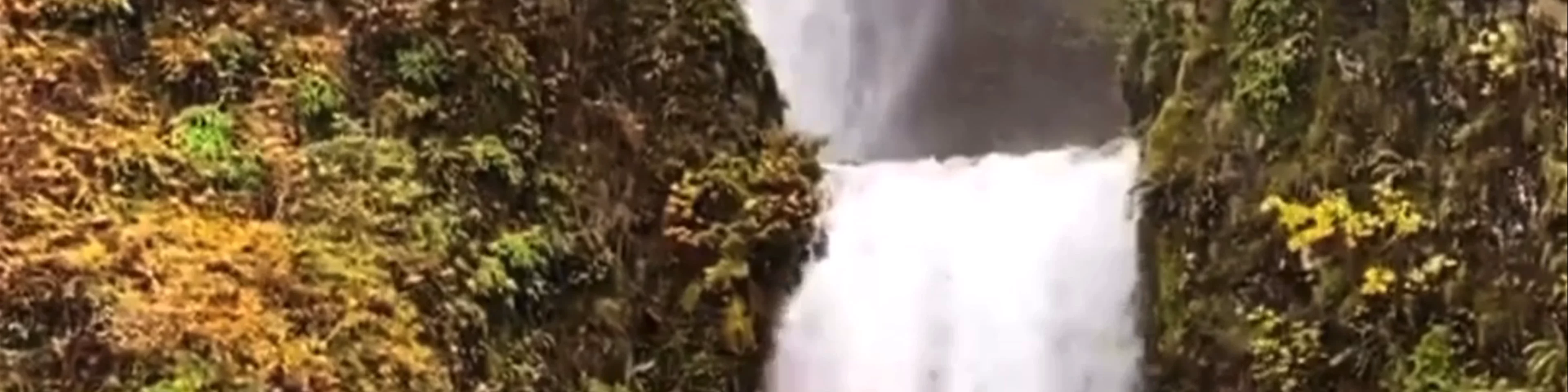 Cataratas de Multnomah