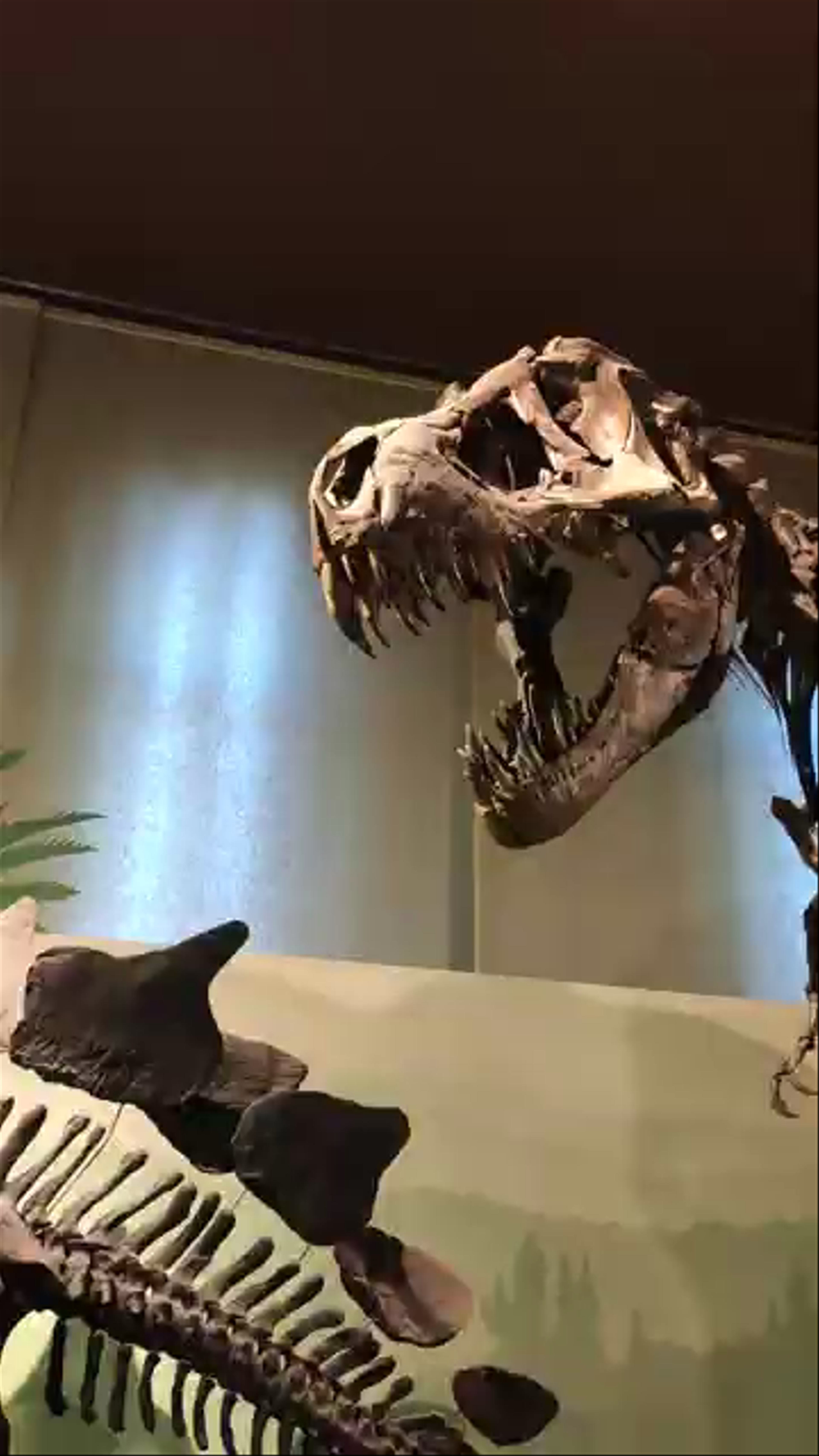 Natural History Museum