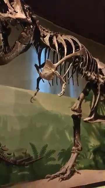 Natural History Museum