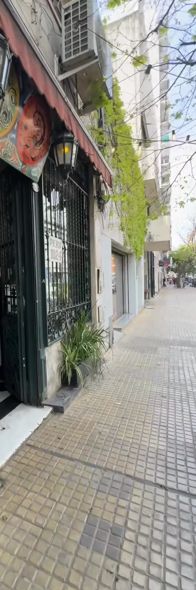 Contenido del creador