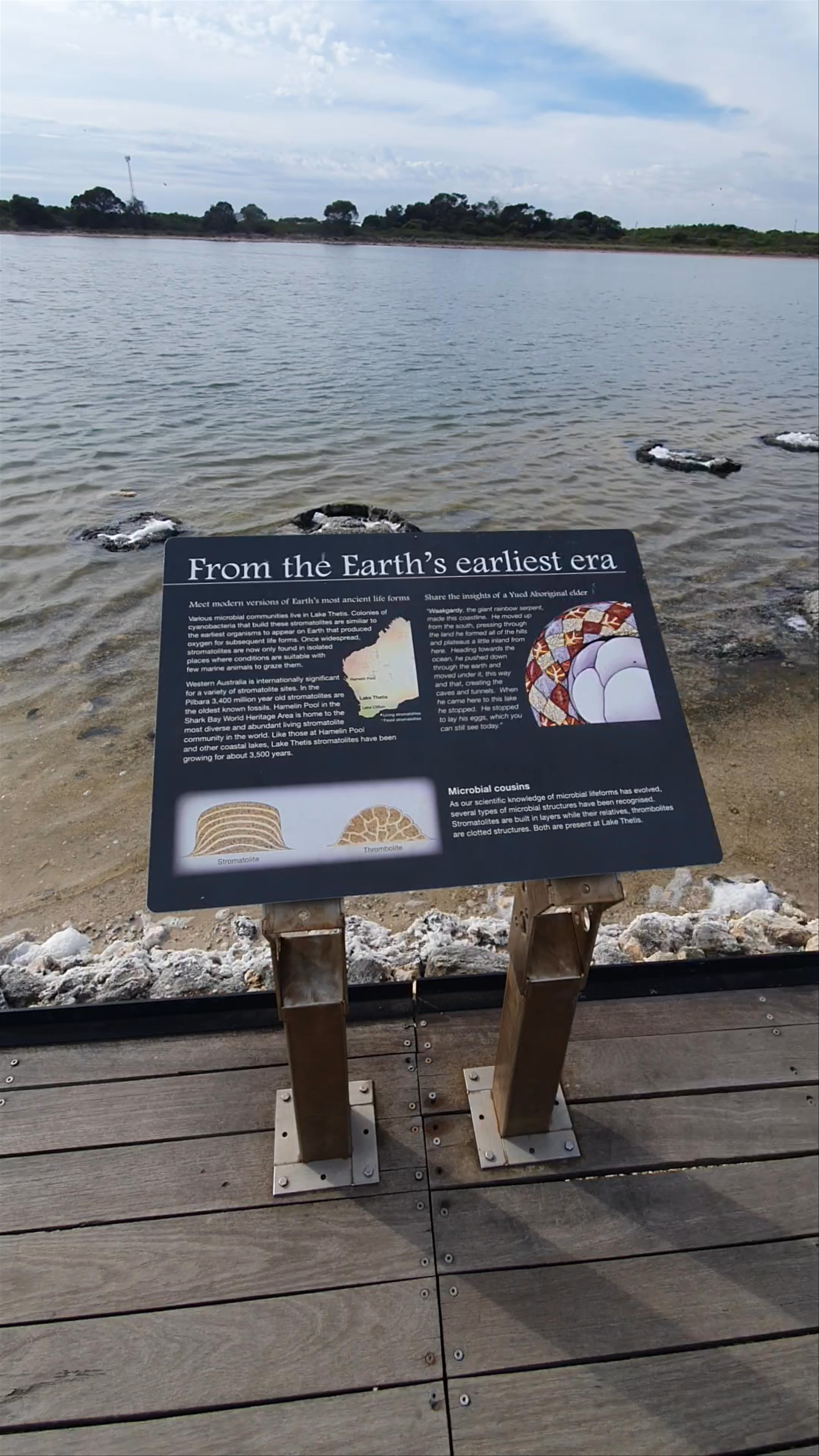 Lake Thetis Stromatolites