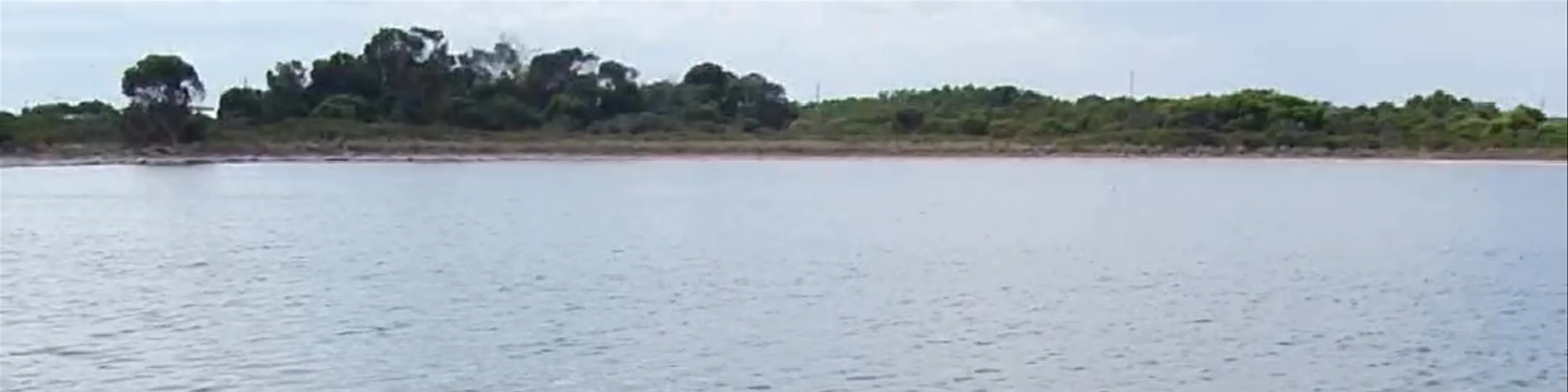 Lake Thetis Stromatolites