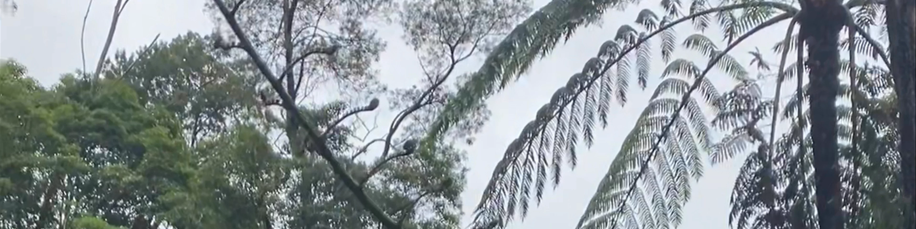 Centro de Interpretação Ambiental da Caldeira Velha