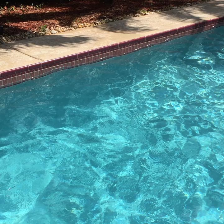 Advanced World Pool Services - Awpoolservices call us we do all kind of Services 954-573-3602  Monday to Friday  8:00 to 5:00 and Saturday. 8:00 to 3:00 - Pool & Hot Tub Service Near Me - Coral Springs, Florida