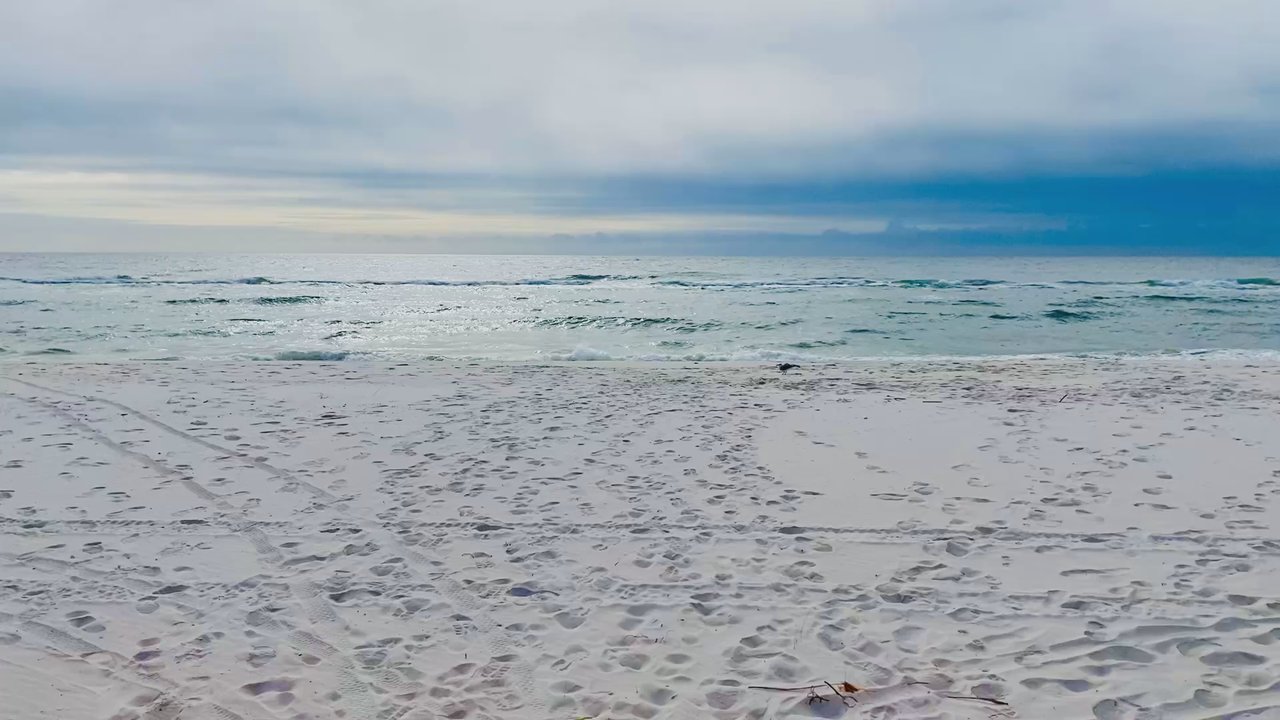 Johnson Beach - One word frees us of all the weight and pain of life: That word is love." - Beaches Near Me - Pensacola, Florida