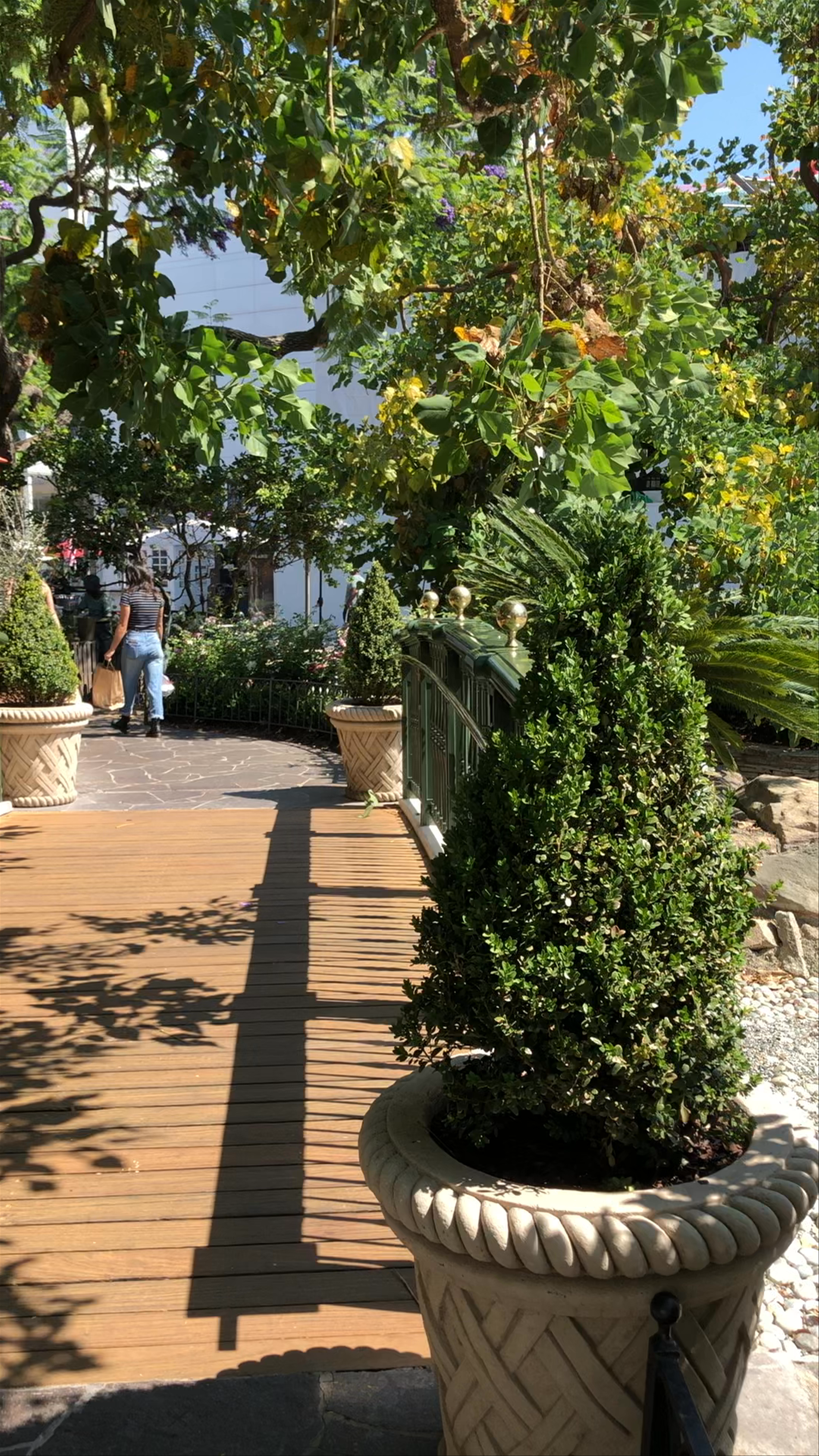 The Grove 