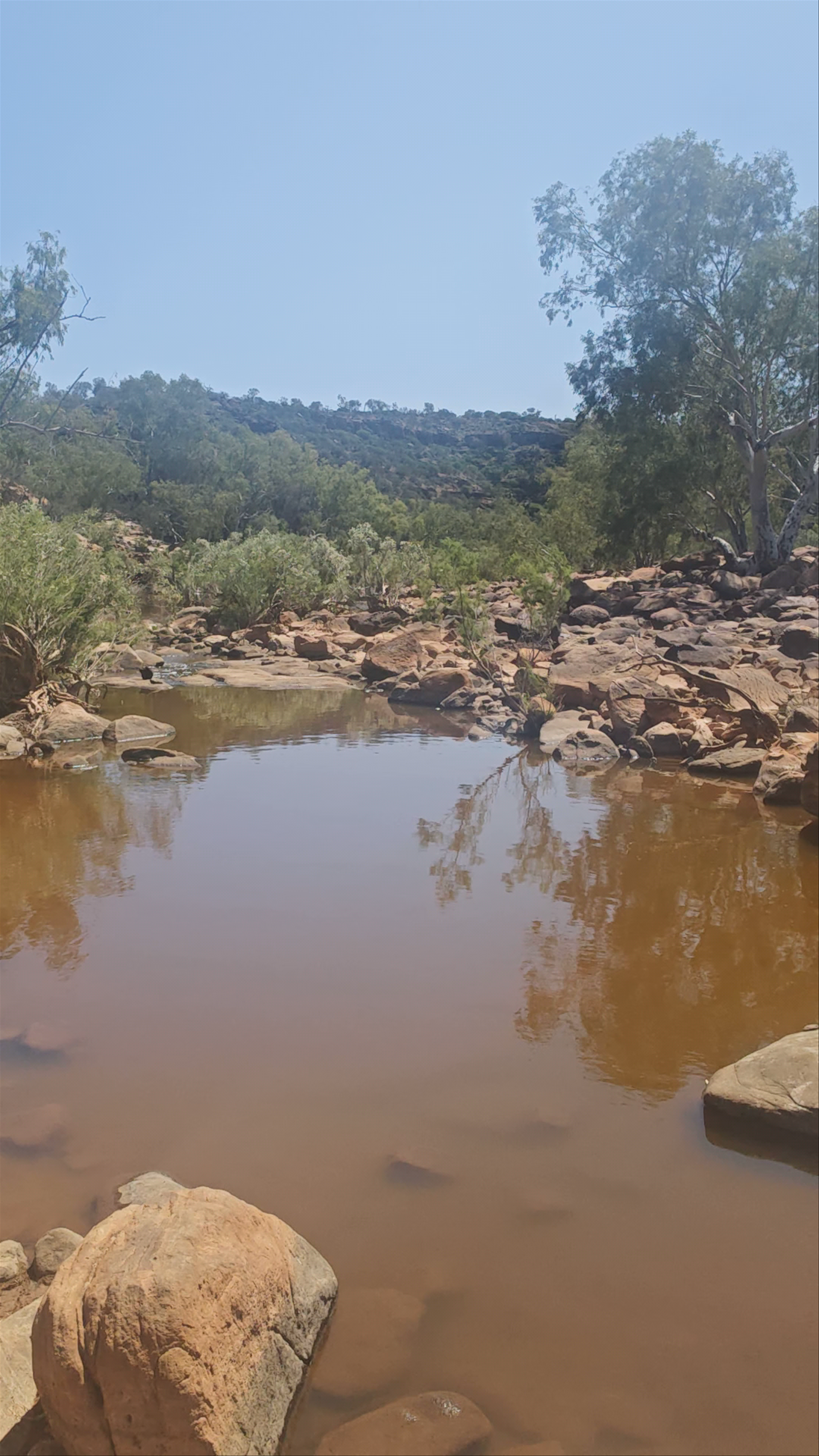 Ross Graham lookout