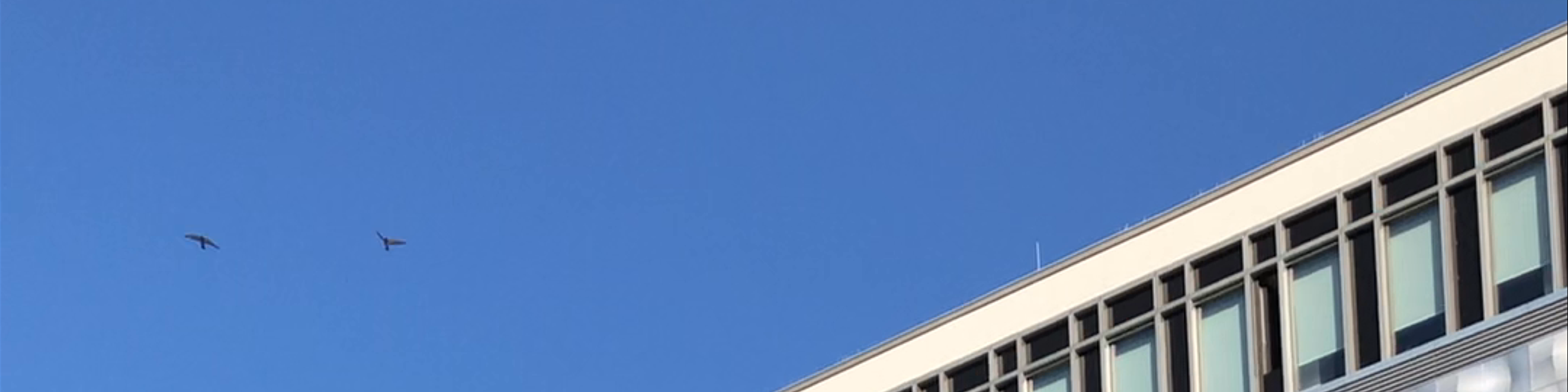 Leipzig