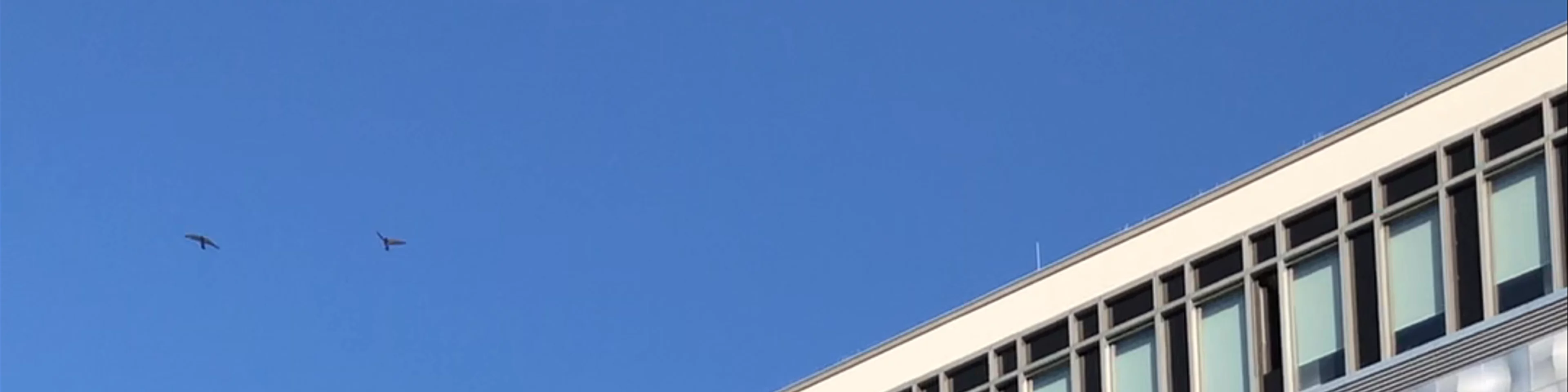 Höfe am Brühl