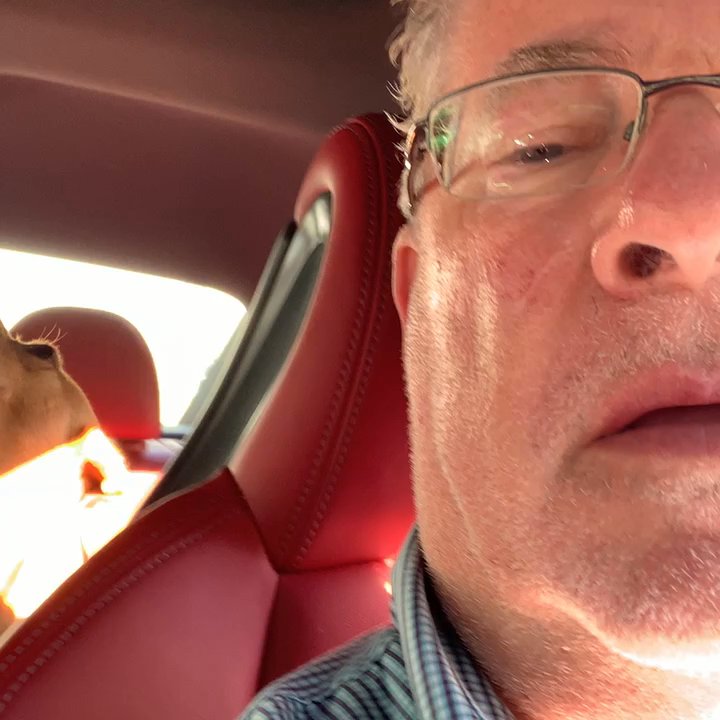 Camp Canine - See how excited I am when I go to Camp Canine? - Pet Groomers Near Me - Boca Raton, Florida