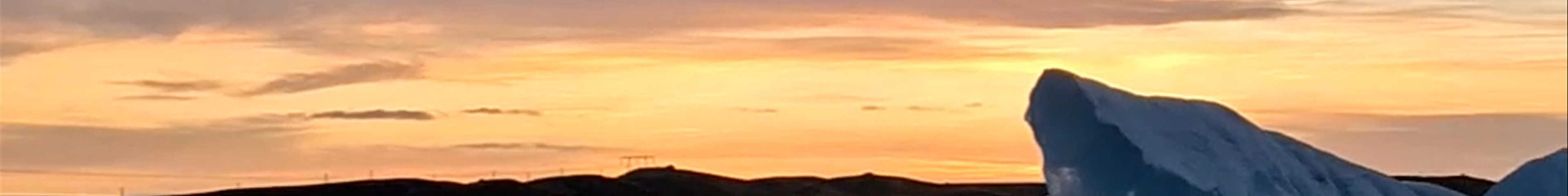 Tours & experiences in Höfn