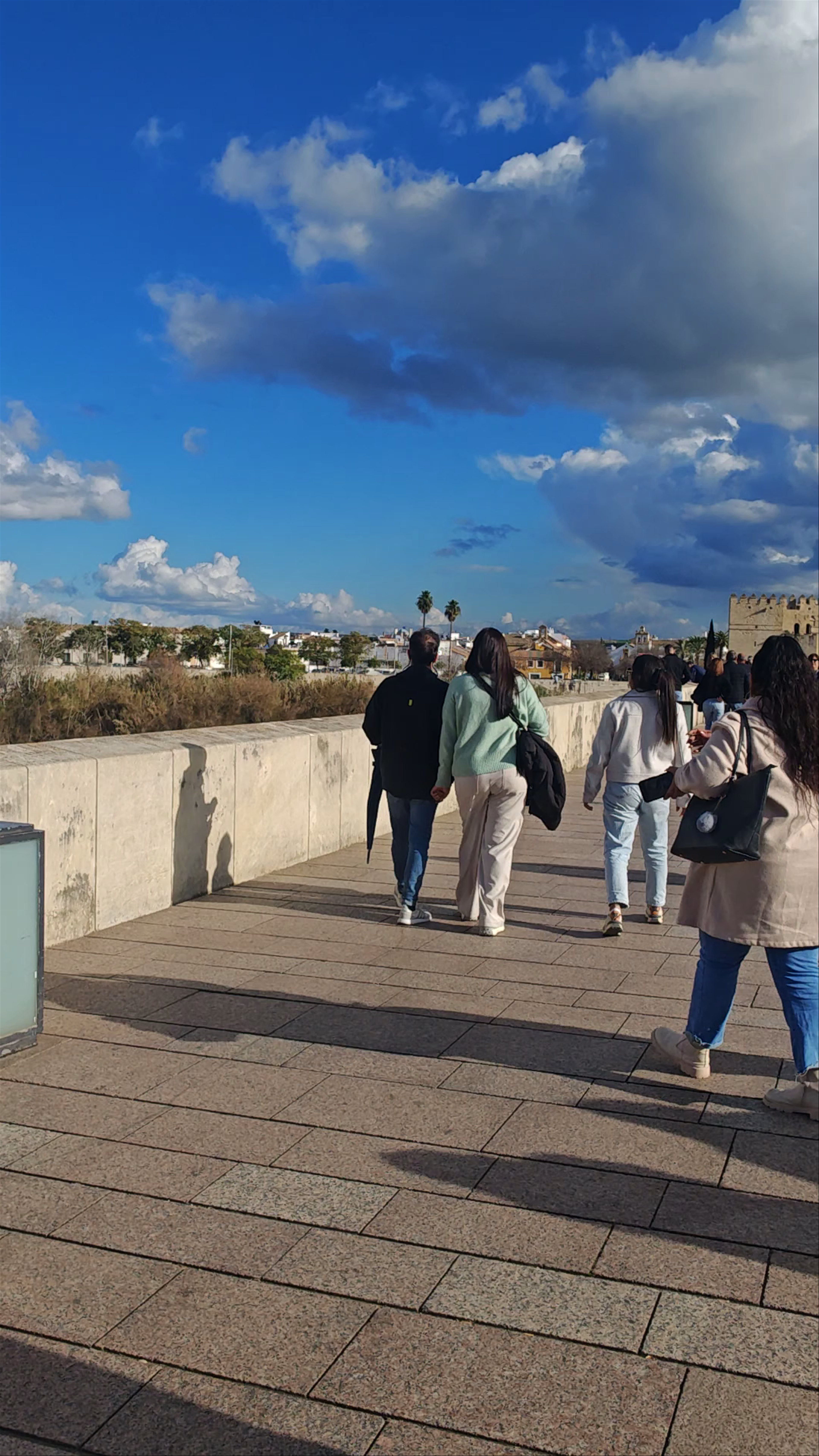 Puente Romano de Córdoba