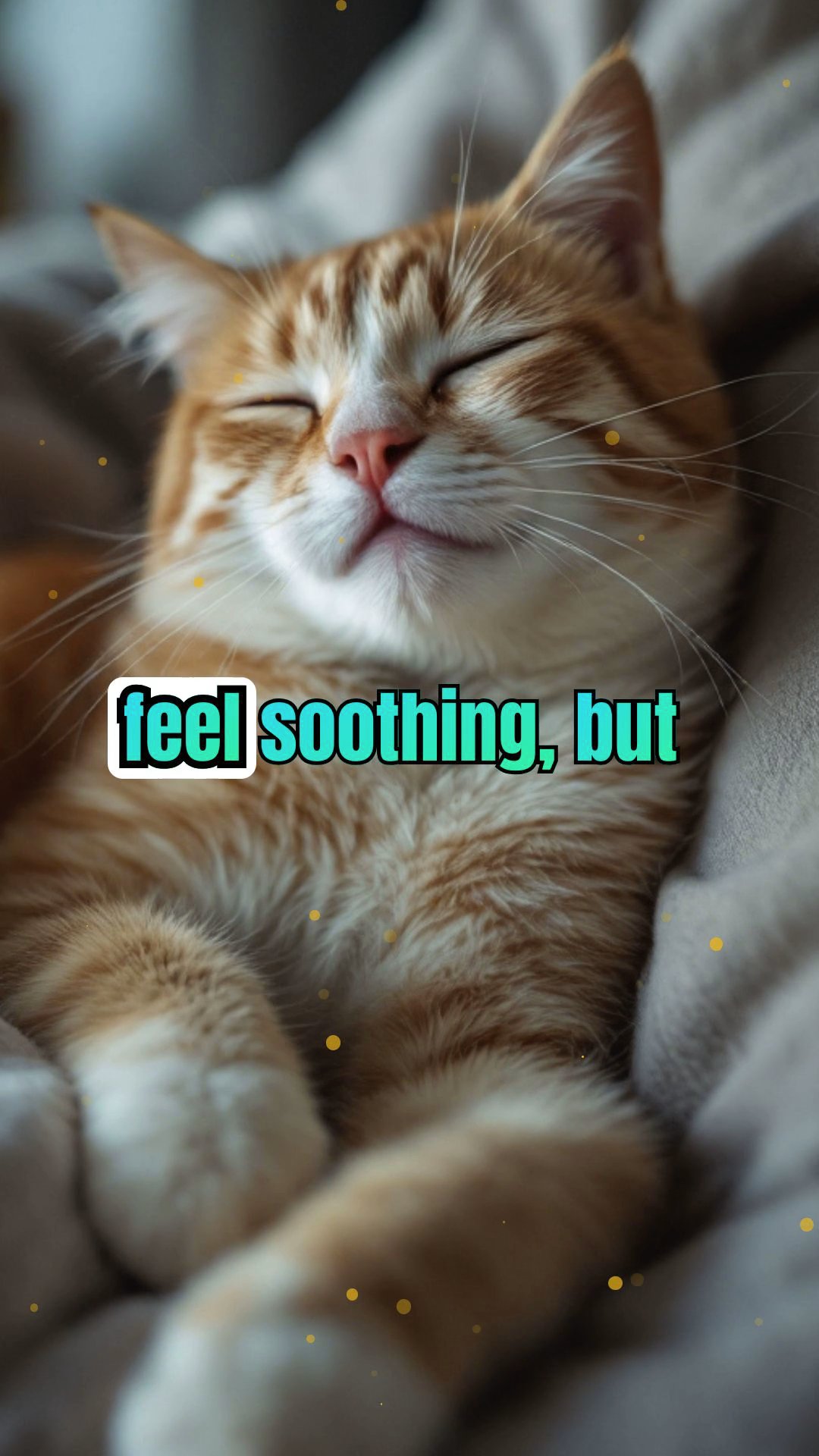 Paws and Claws: Surprising Scientific Facts About Cats