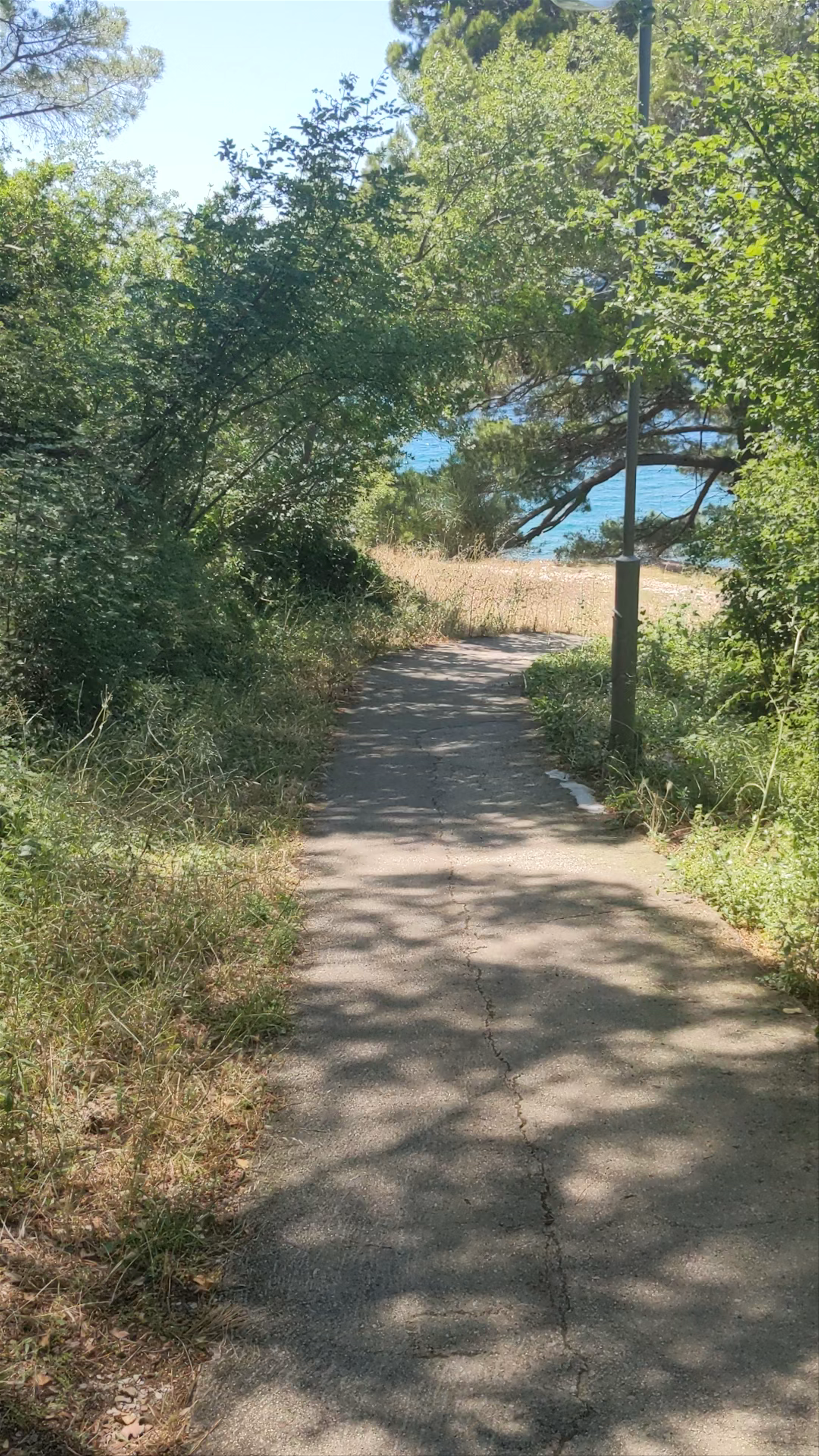 Hiking Trail Luchice - Buljarica